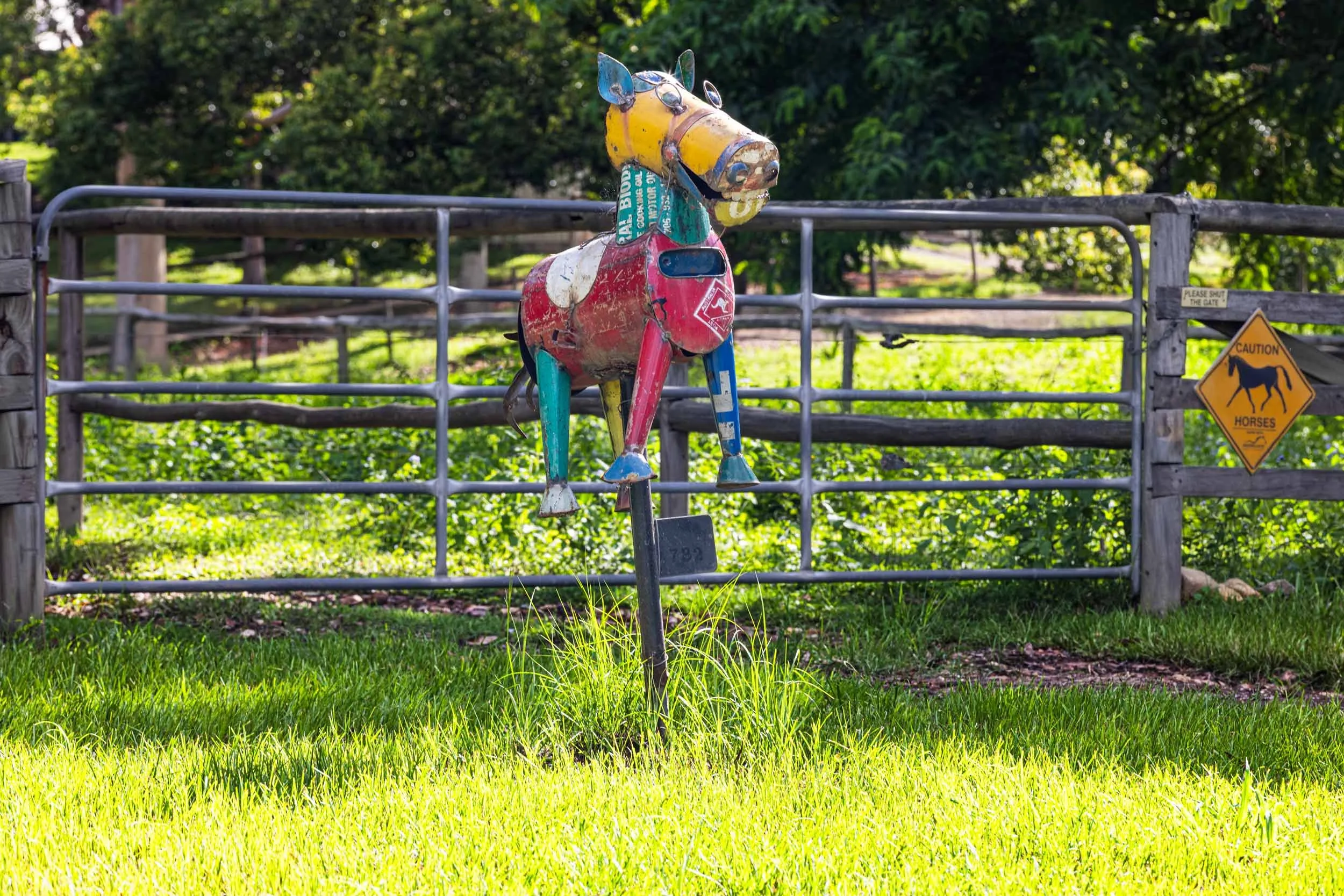 Horse.-Adap.-Lands.-Spring02.-+-Pop.-2500PX-FOR-SS-WEB.-431KB.-0751.jpg