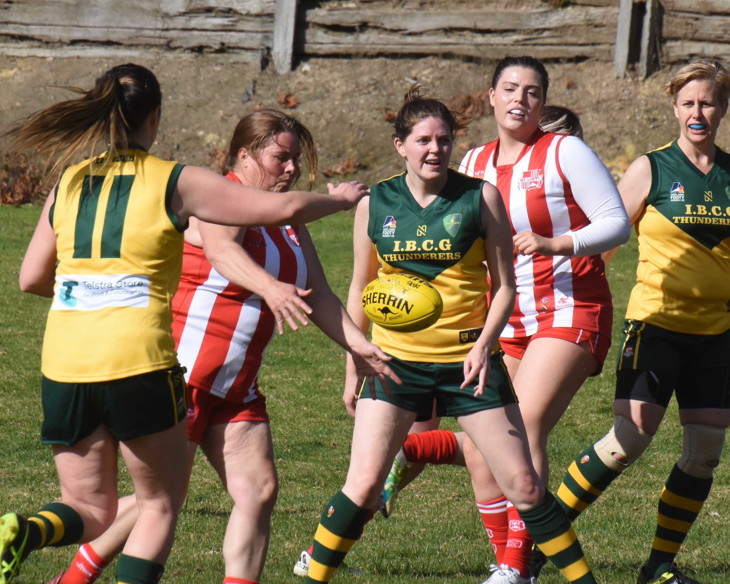 Mt Lofty game photo for Courier.jpg