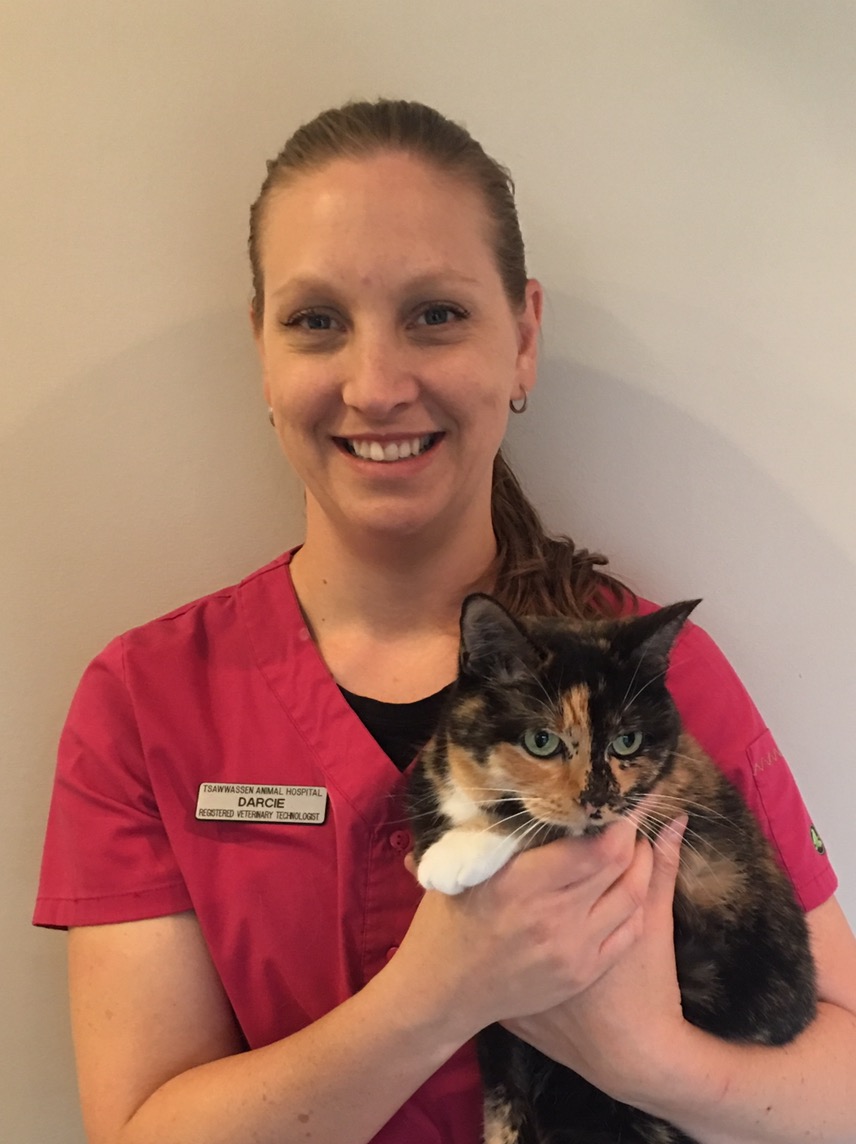Darcie - Registered Veterinary Technician
