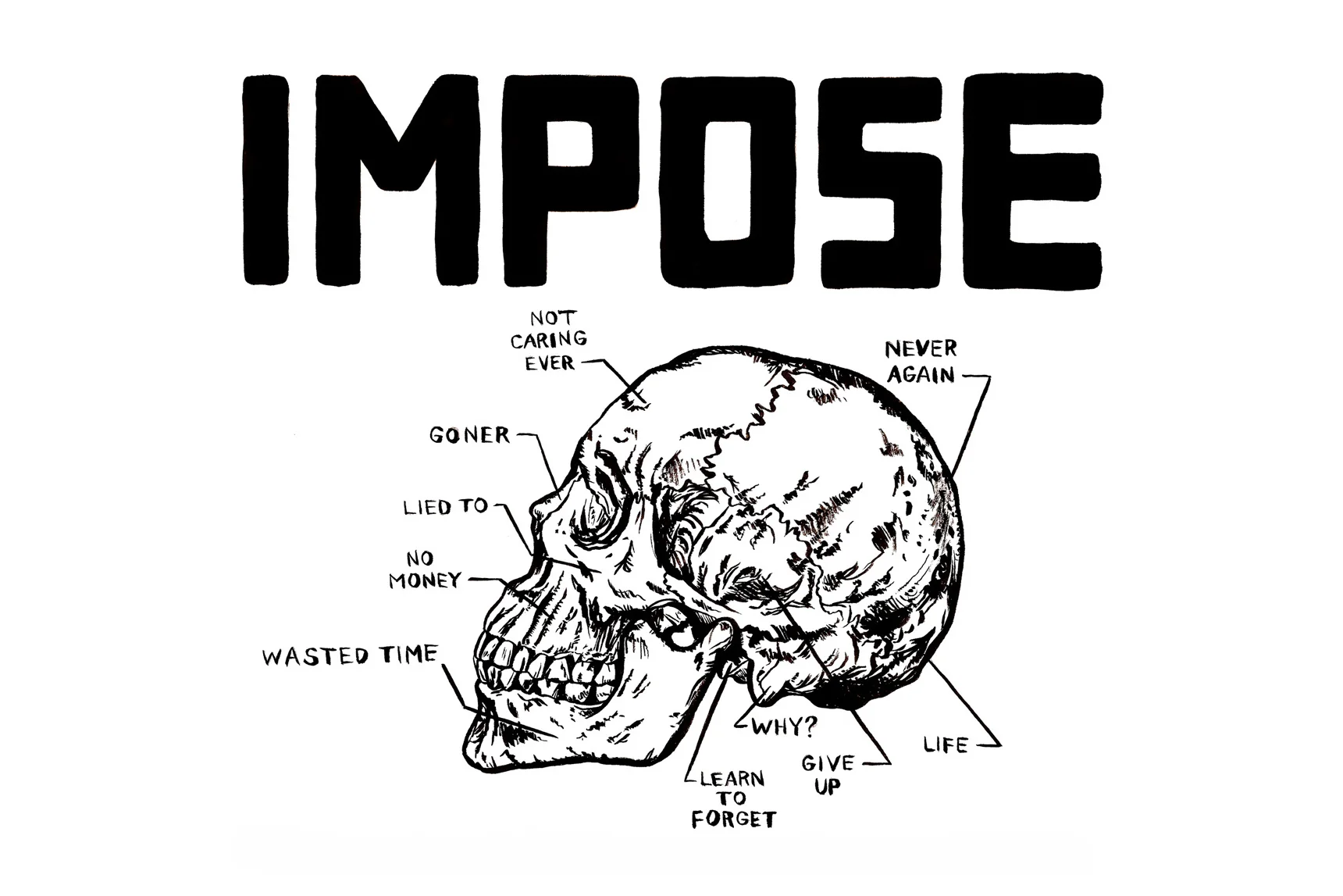 skullweb2.jpg