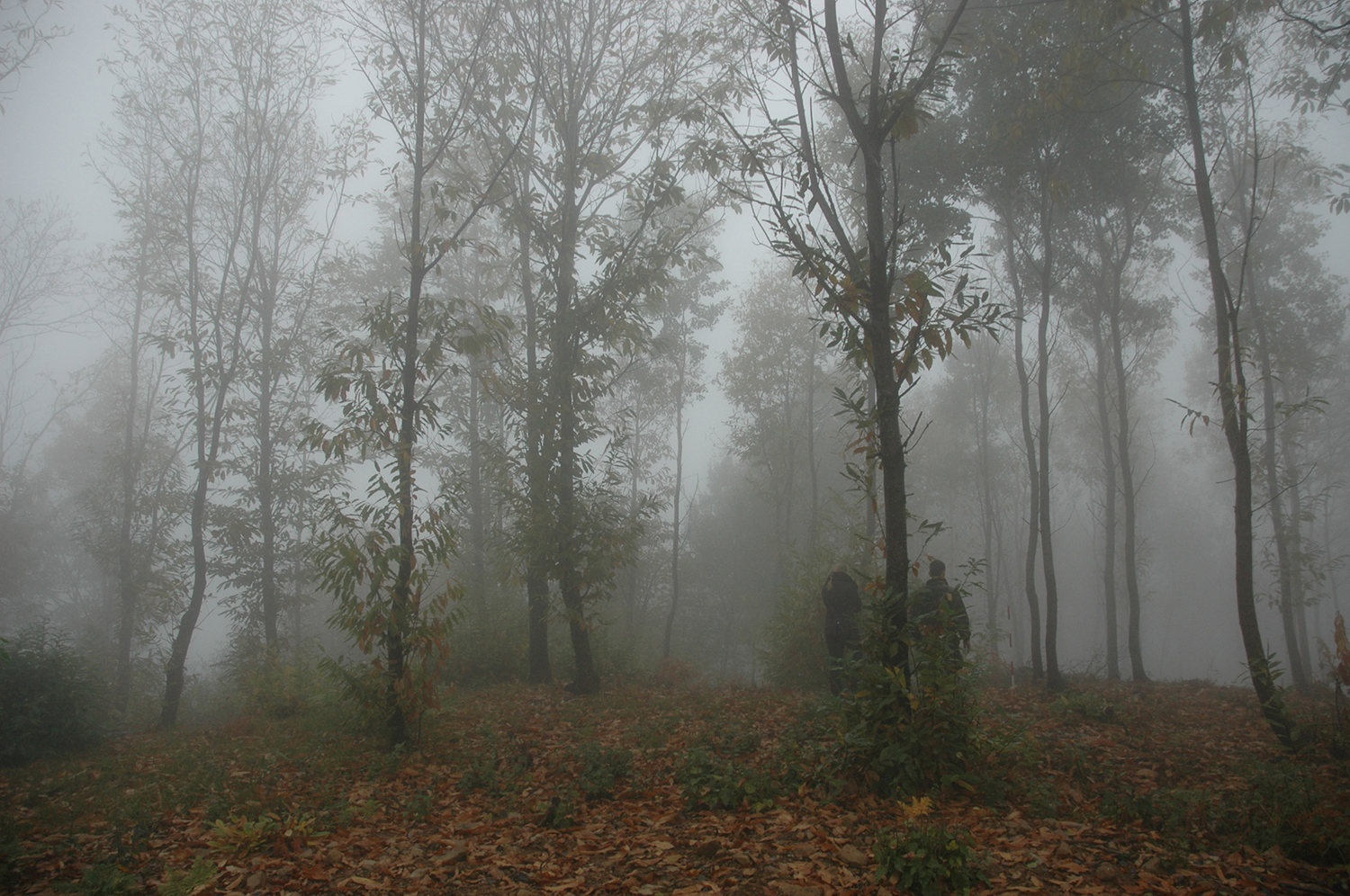 DSC_5633.JPG