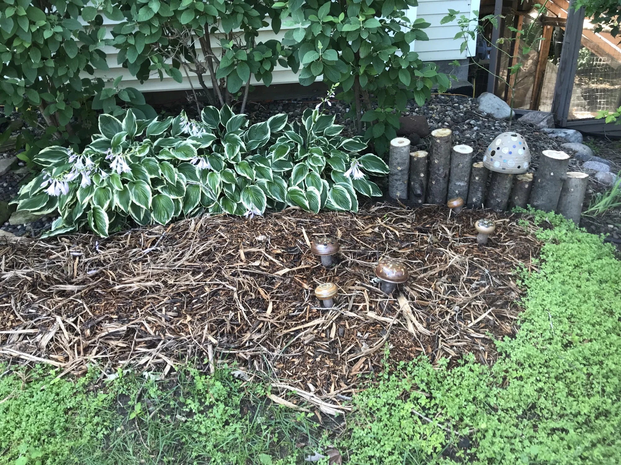 This garden will produce home-grown gourmet fare; shiitake, oyster and wine cap mushrooms