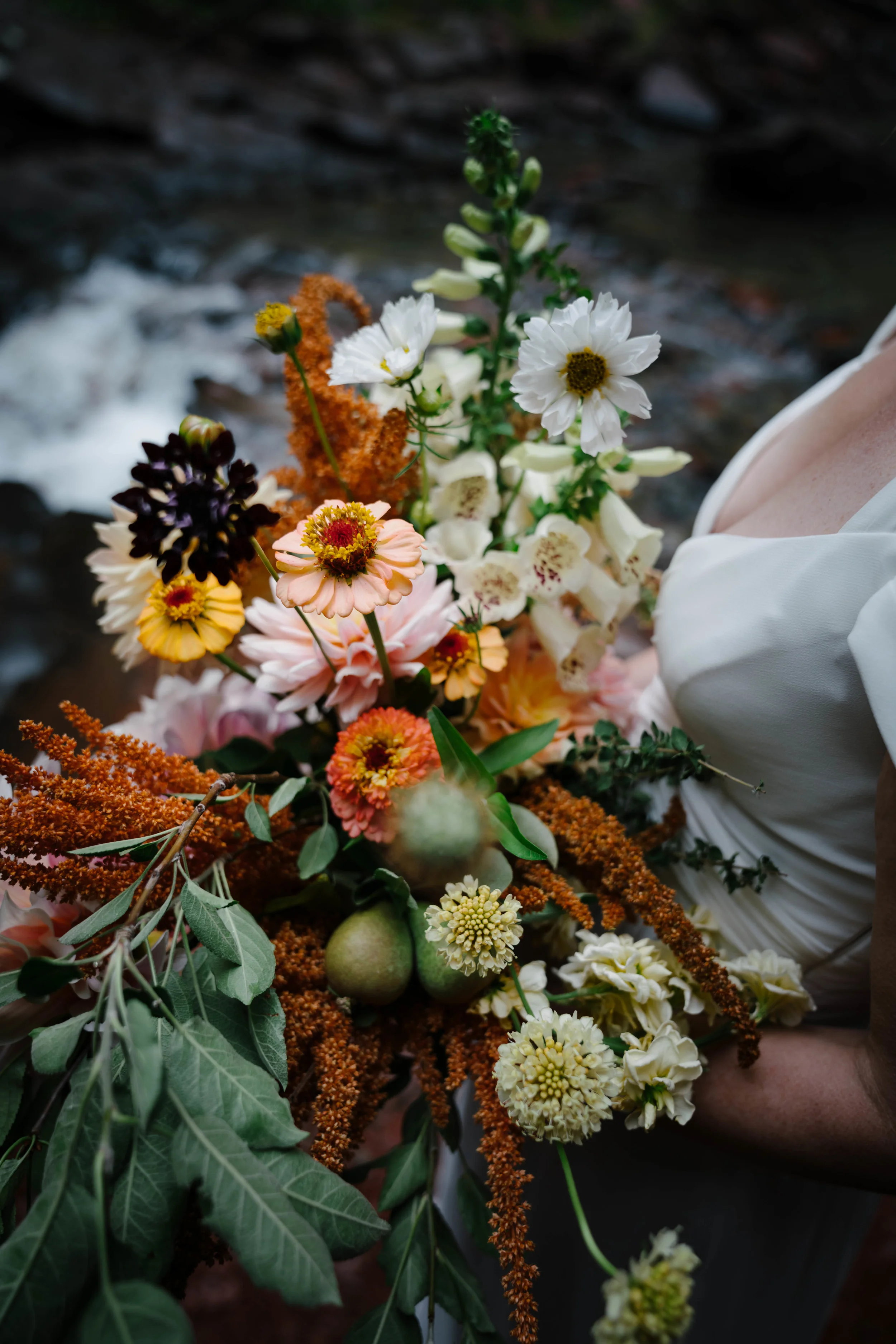 M+S_Elopement_0052.jpg