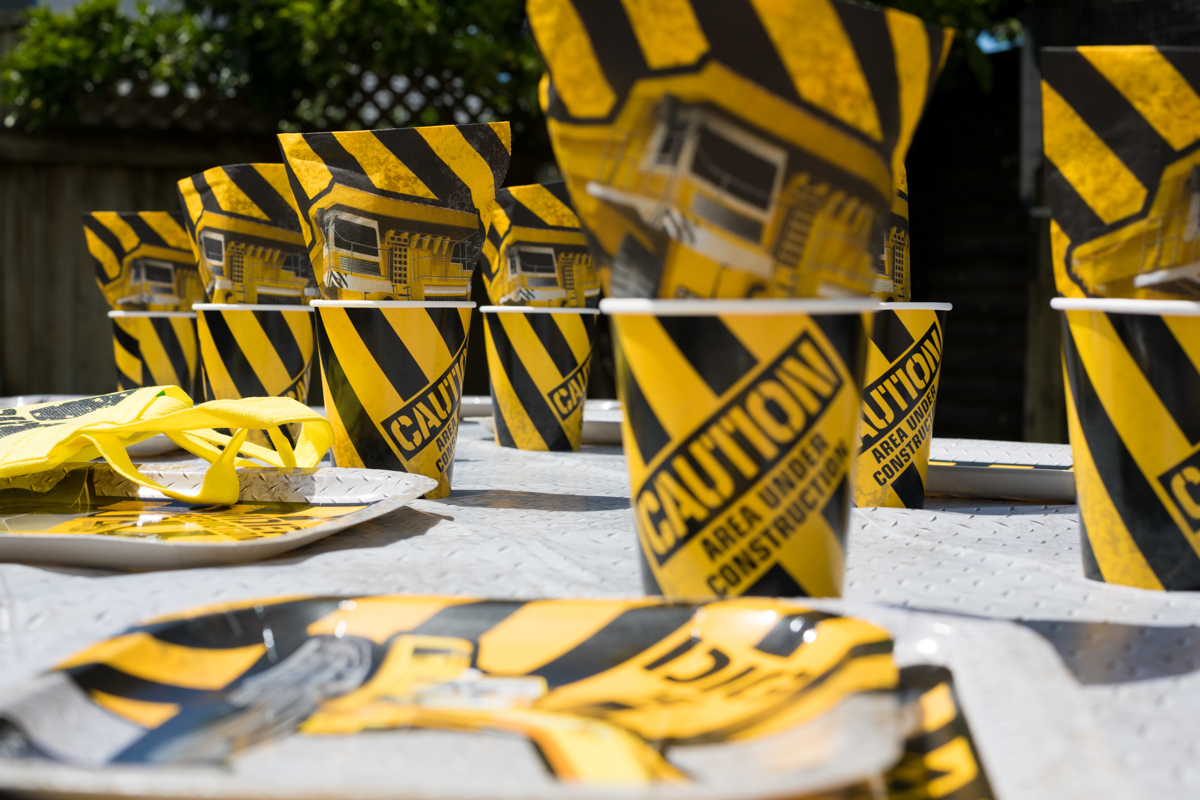 Party In The Bay-101.jpg