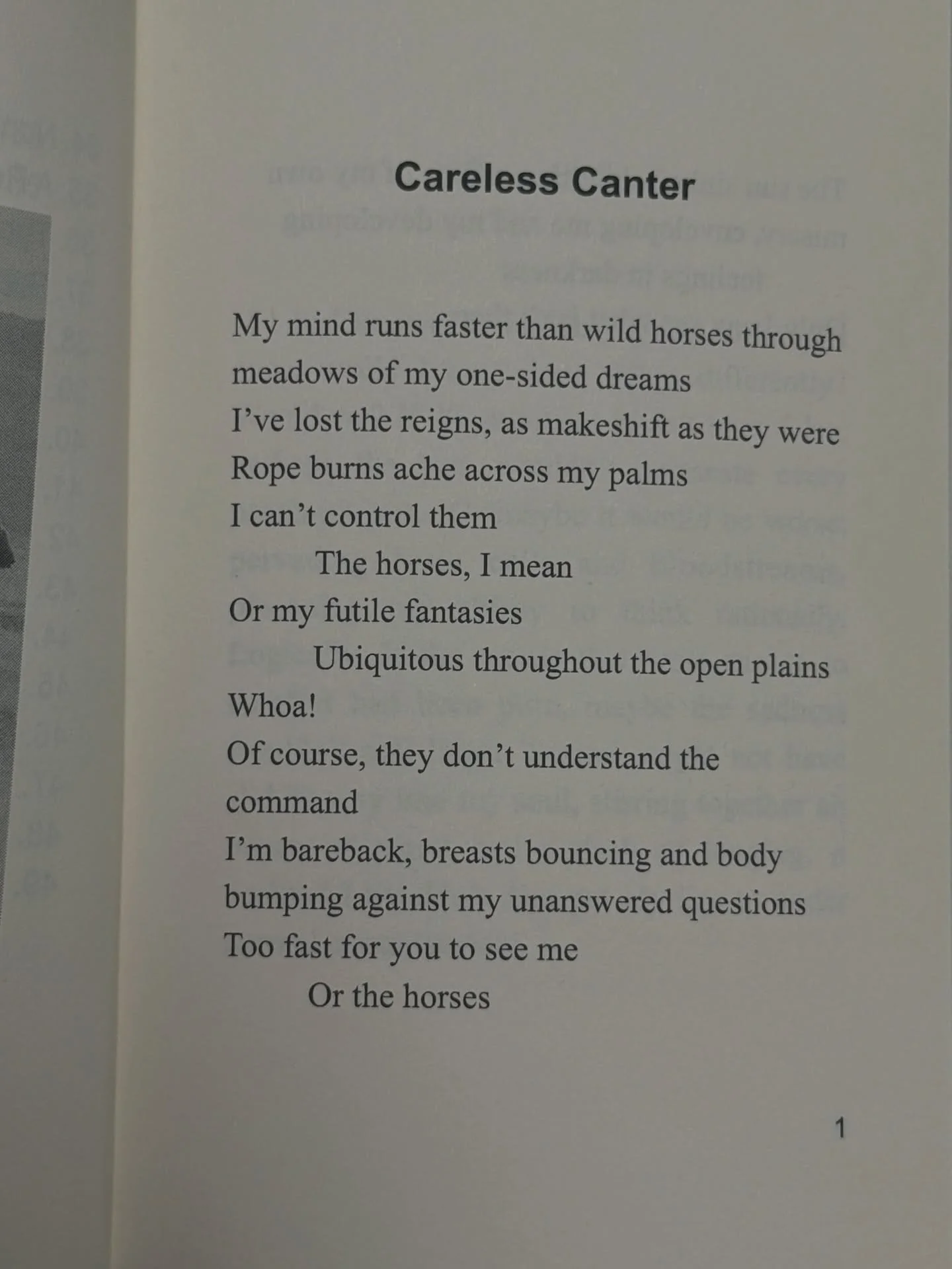 &ldquo;Careless Canter&rdquo; 🐴 The opening poem from my book Too Busy 4 Heartbreak. Available worldwide online 🤎 #poetry