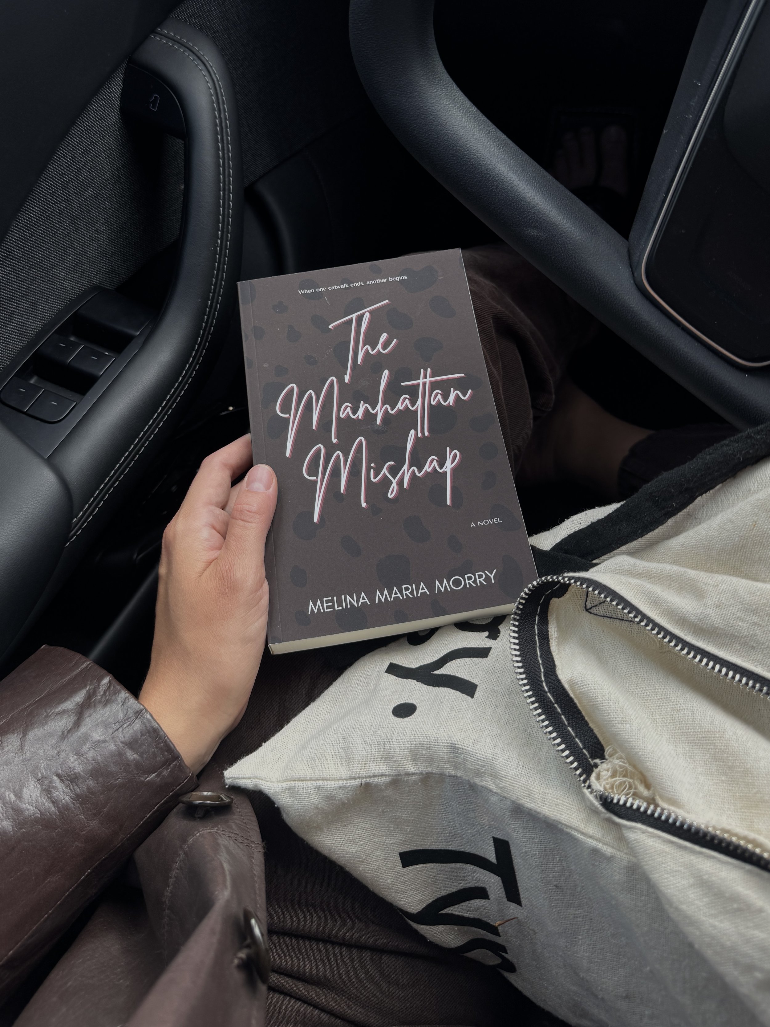 The Manhattan Mishap by Melina Maria Morry