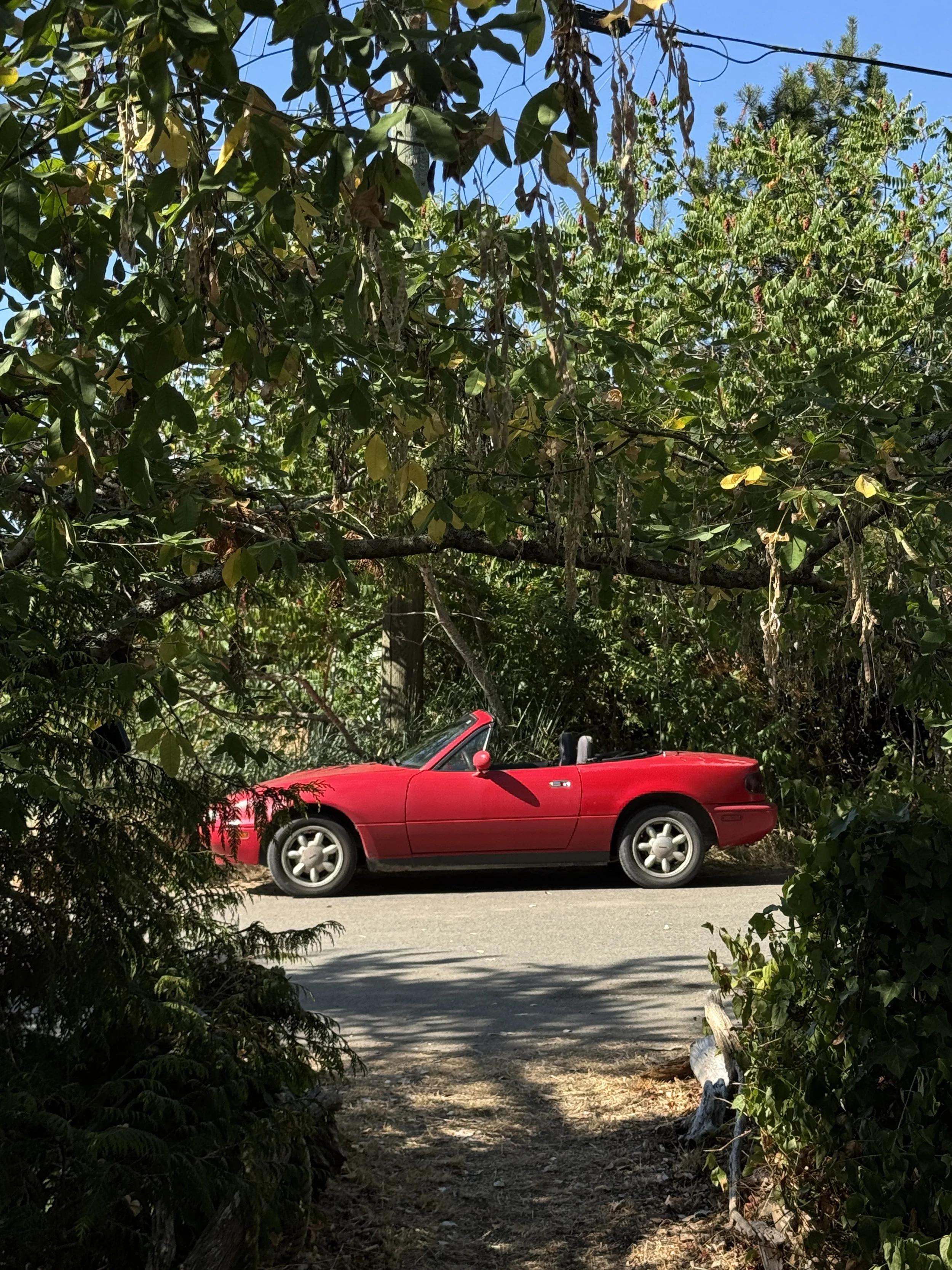 Poems About Los Angeles