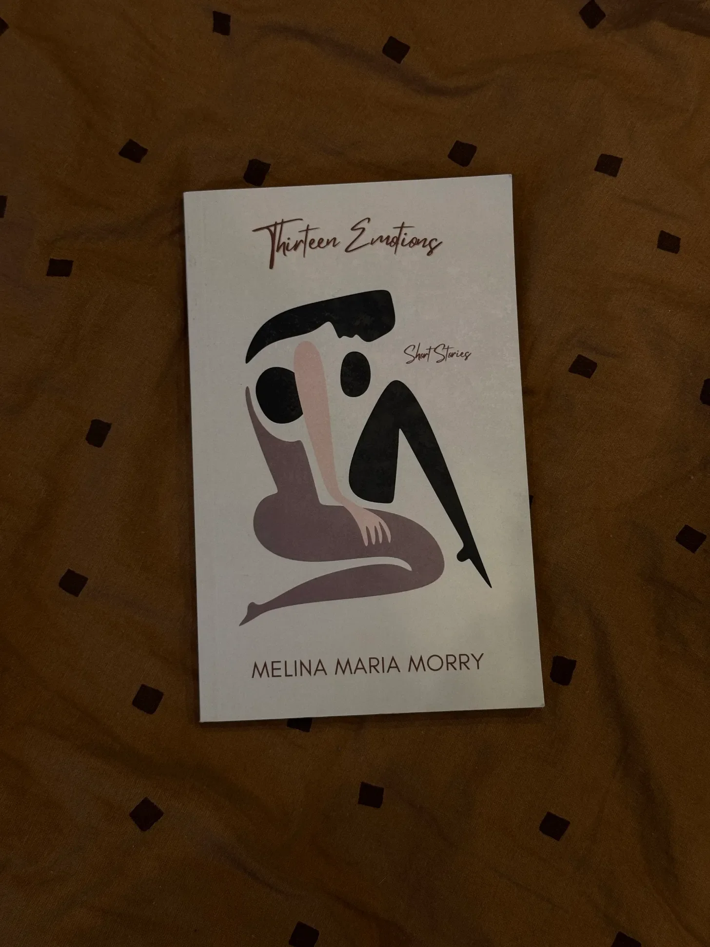 How to Write a Fashion Fiction Novel — Thirteen Emotions by Melina Maria Morry