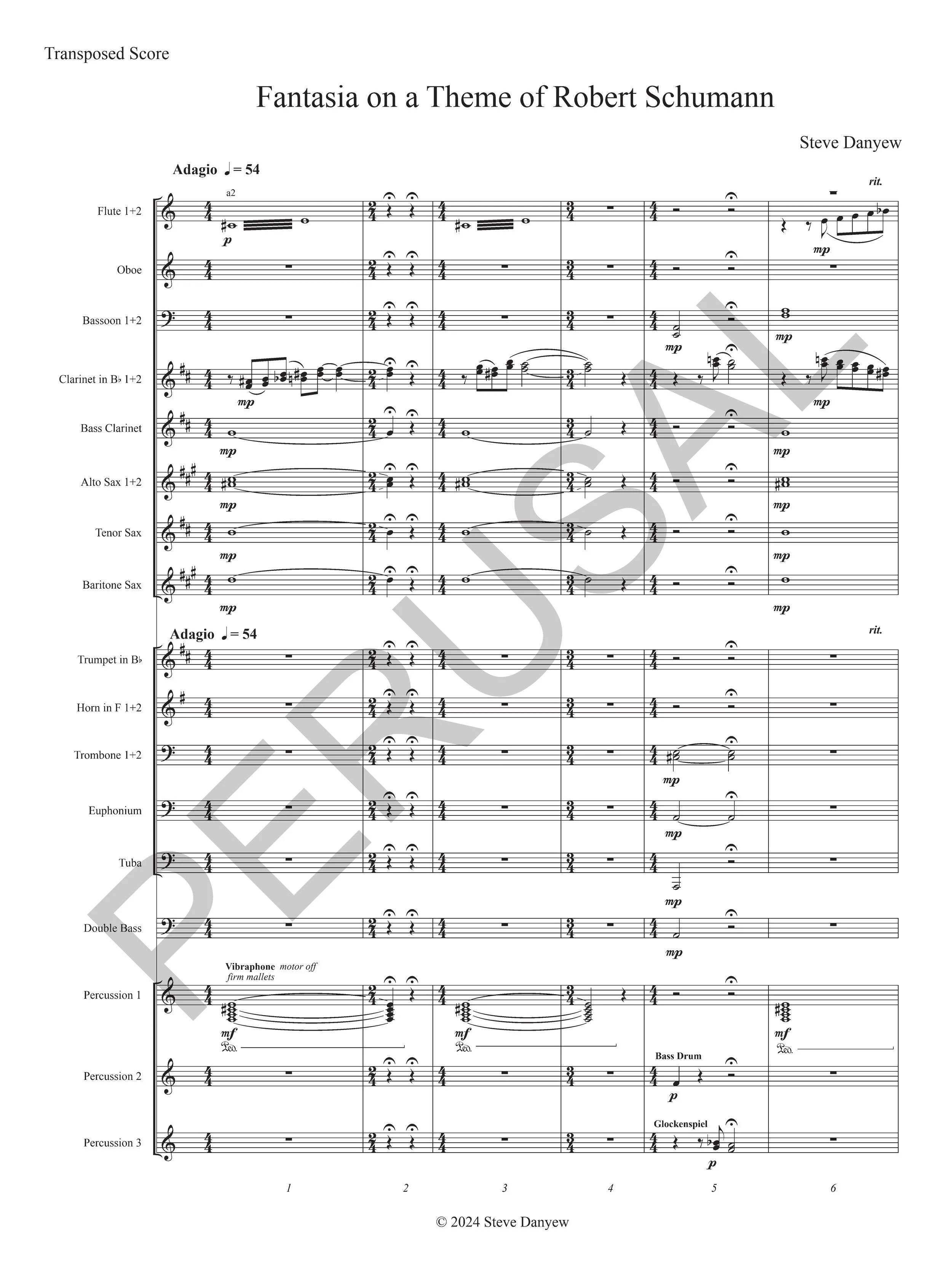 Fantasia on a theme of Robert Schumann - Score COMPLETE_Page14.jpg