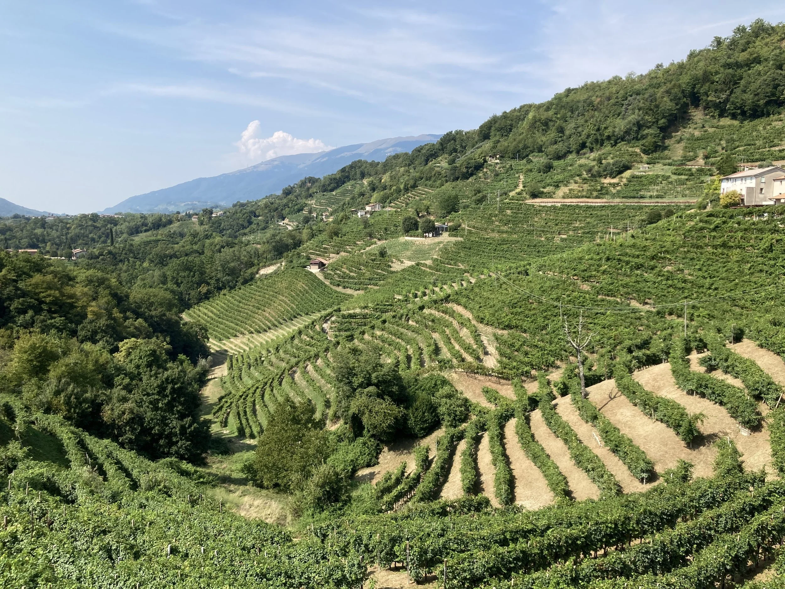 New Saxophone + Piano Consortium - "Scenes from Veneto"