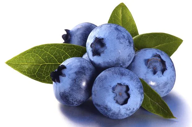 blueberry.jpeg