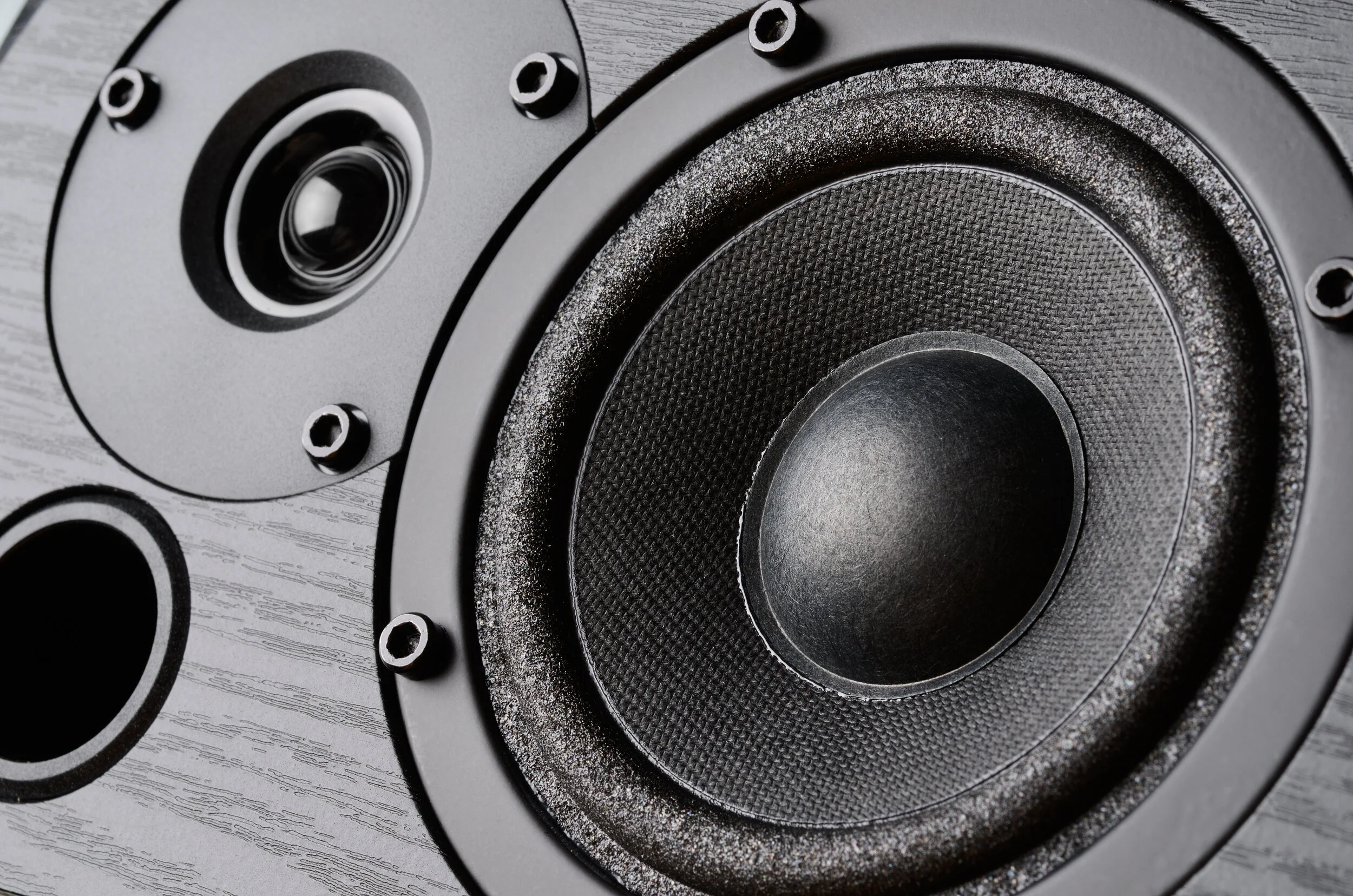 Canva - Speaker system.jpg