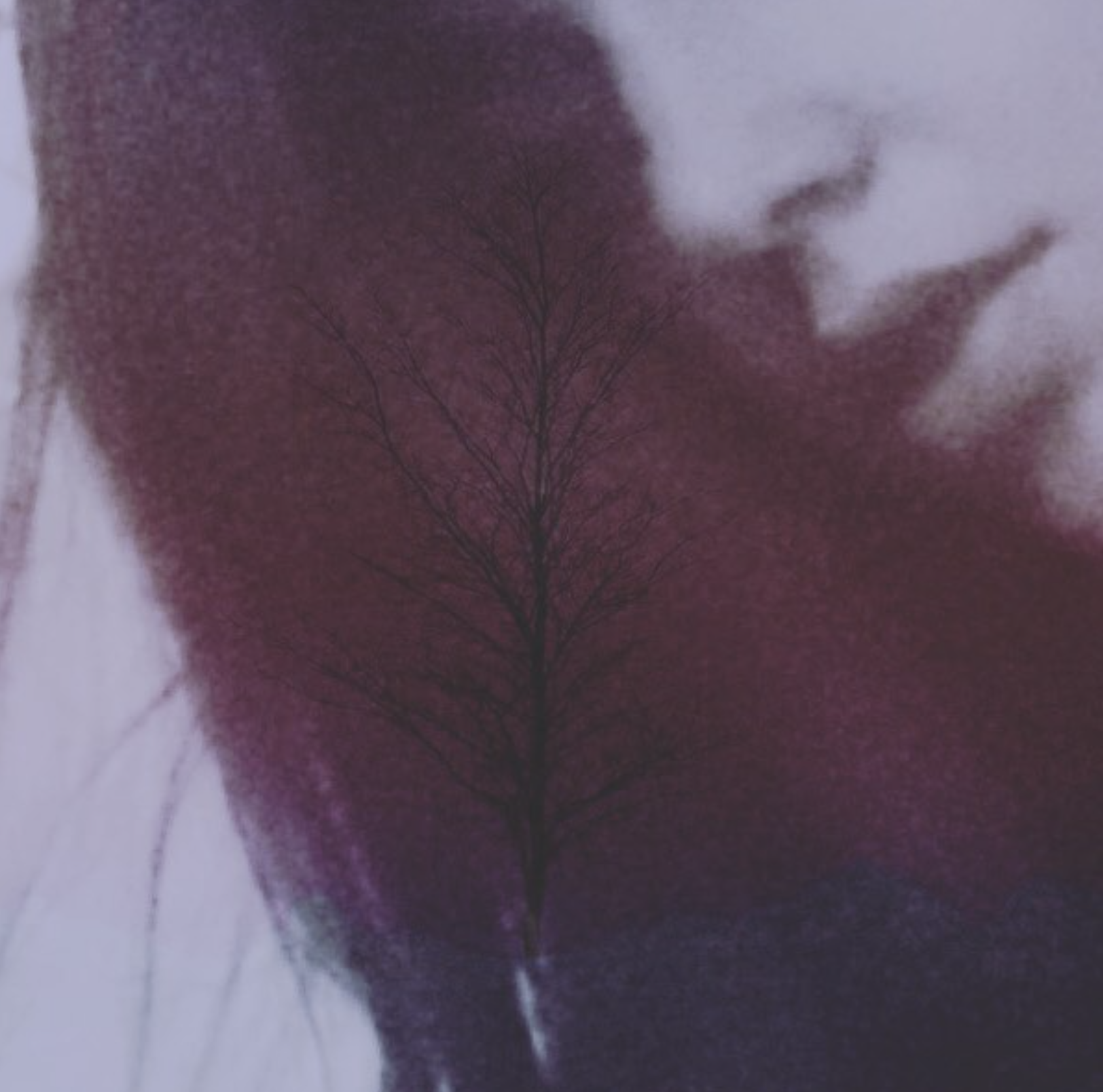 Screen Shot 2018-03-21 at 4.24.37 PM.png