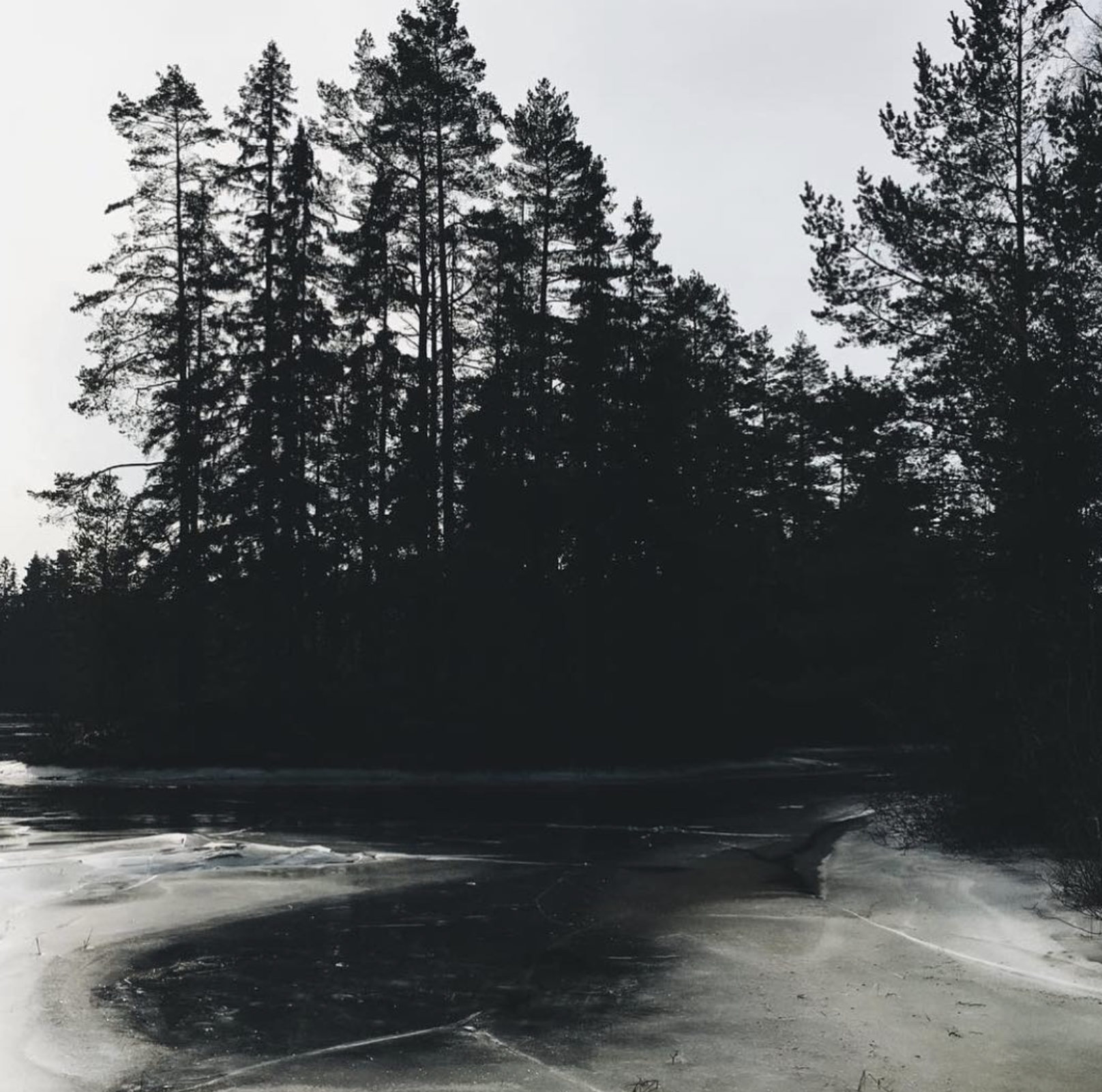 Screen Shot 2018-03-21 at 4.38.50 PM.png