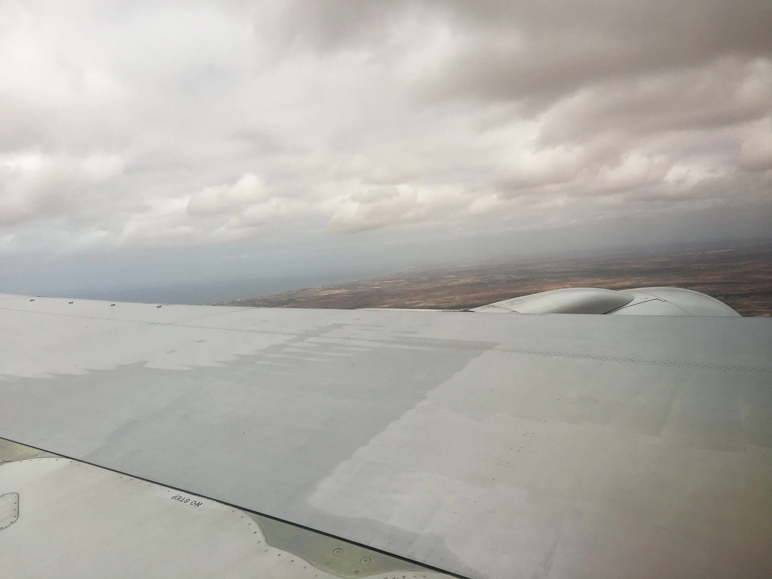 "SILVERWING GRAY" 2018