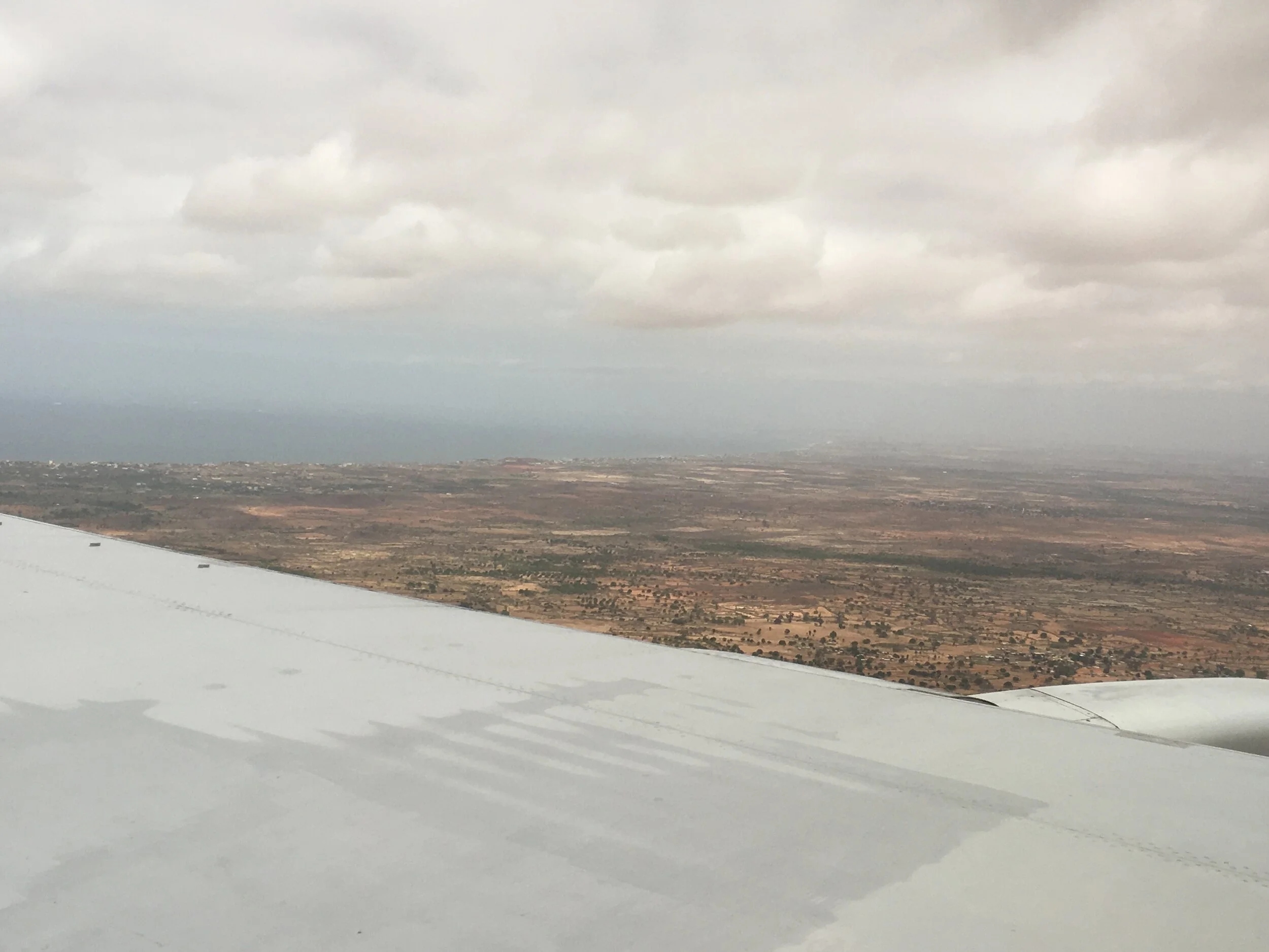 "SILVERWING LIGHT BLUE" 2018