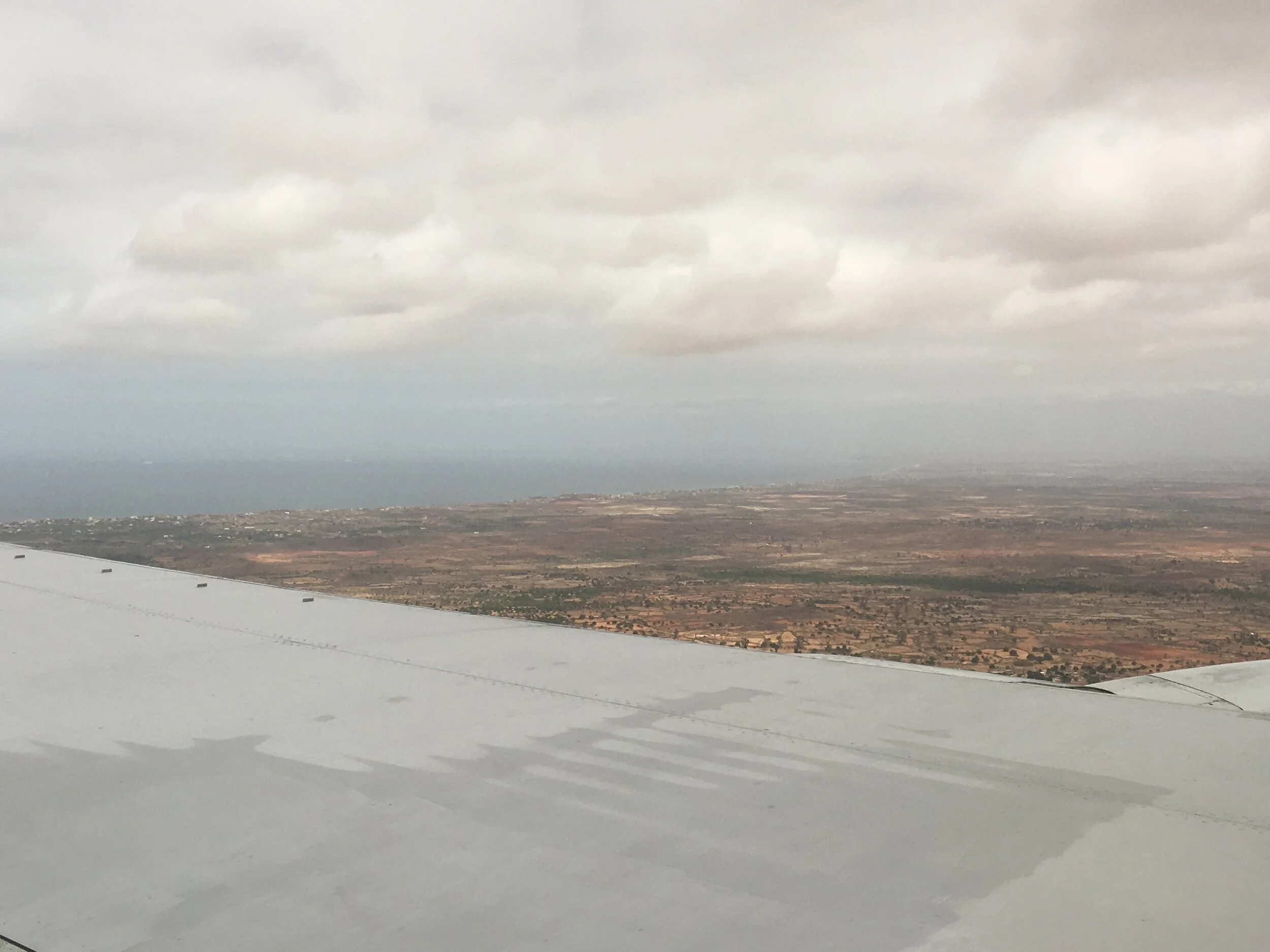 "SILVERWING BLUE PURPLE" 2018