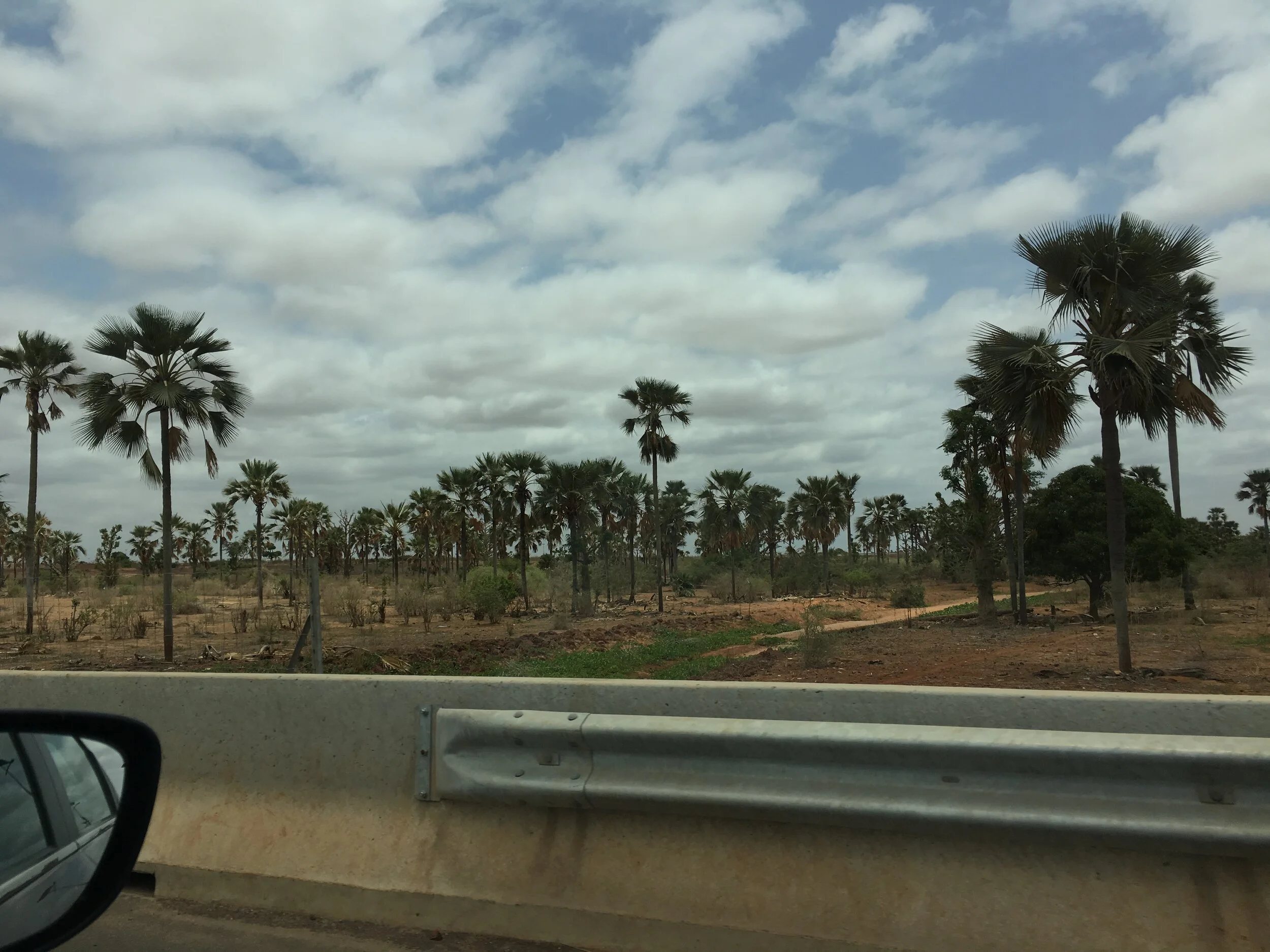 " The Paradise Drive" 18