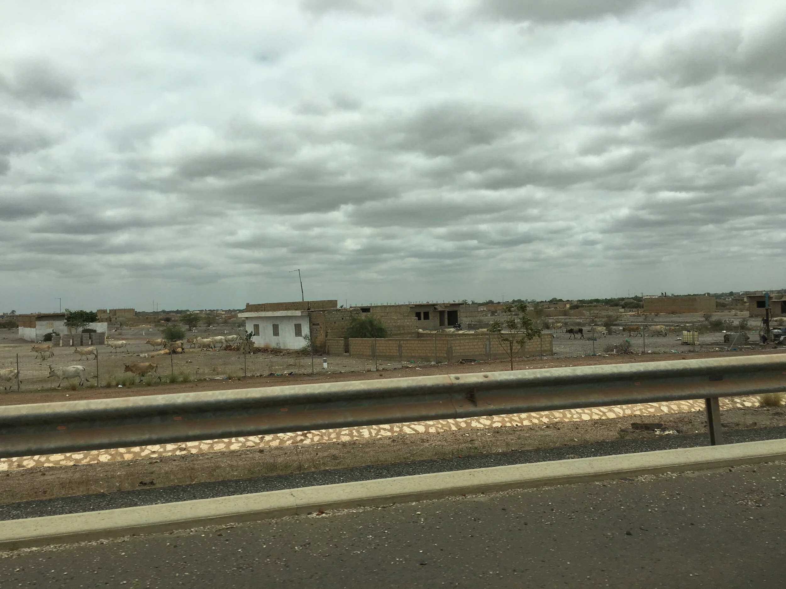 "Dessert Scape 5" 18