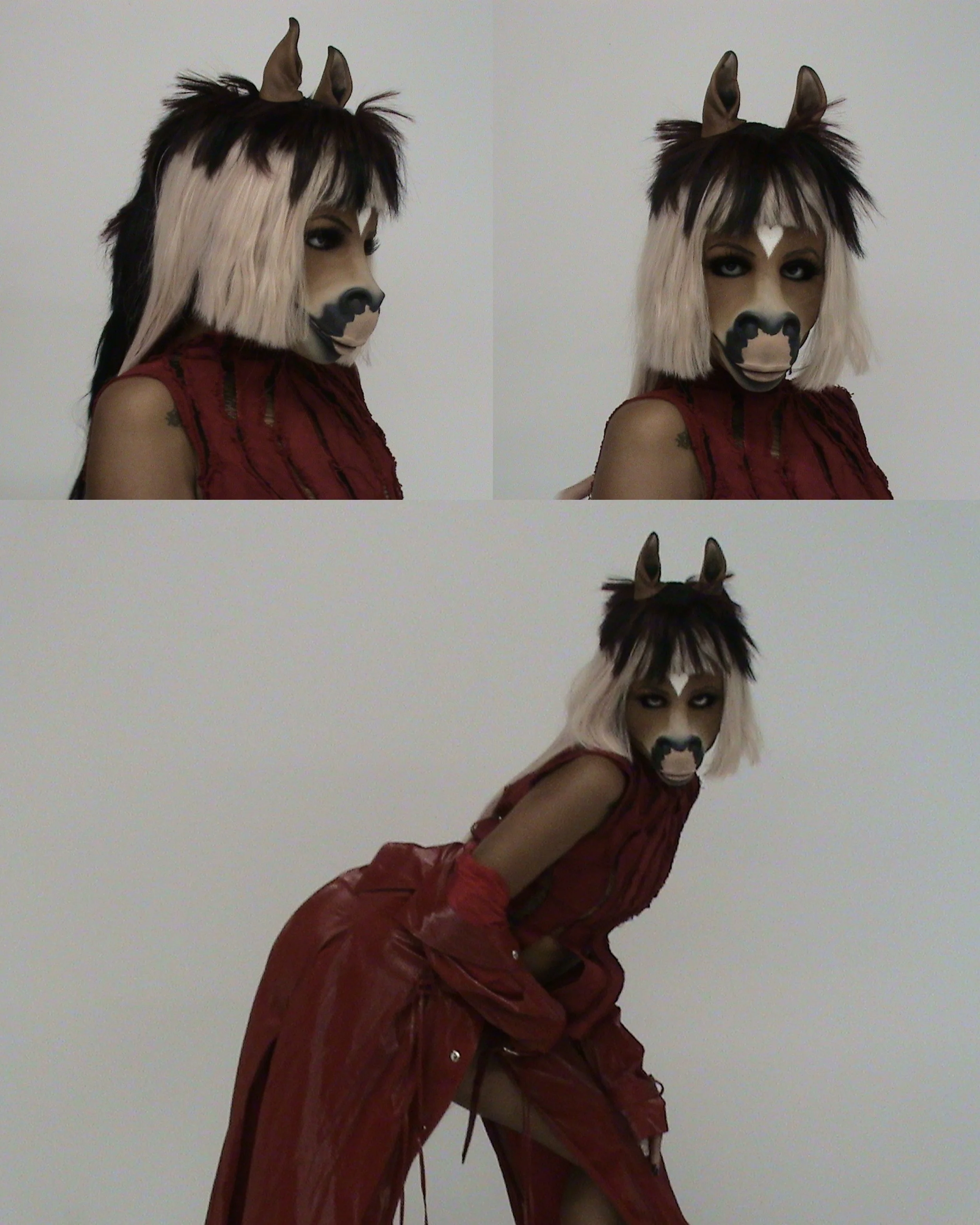 HORSEGIIRL OFFICE 4.jpg