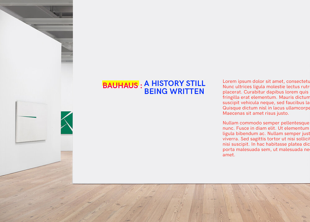 museum wall.jpg_.jpg