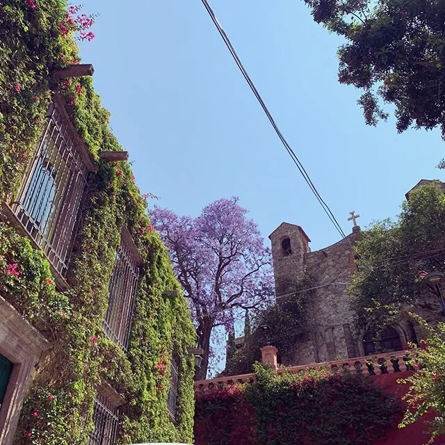my favorite corner of San Miguel&hearts;️
#atangiblehappymemory #casitatime #stillatraveler #traveldeeper