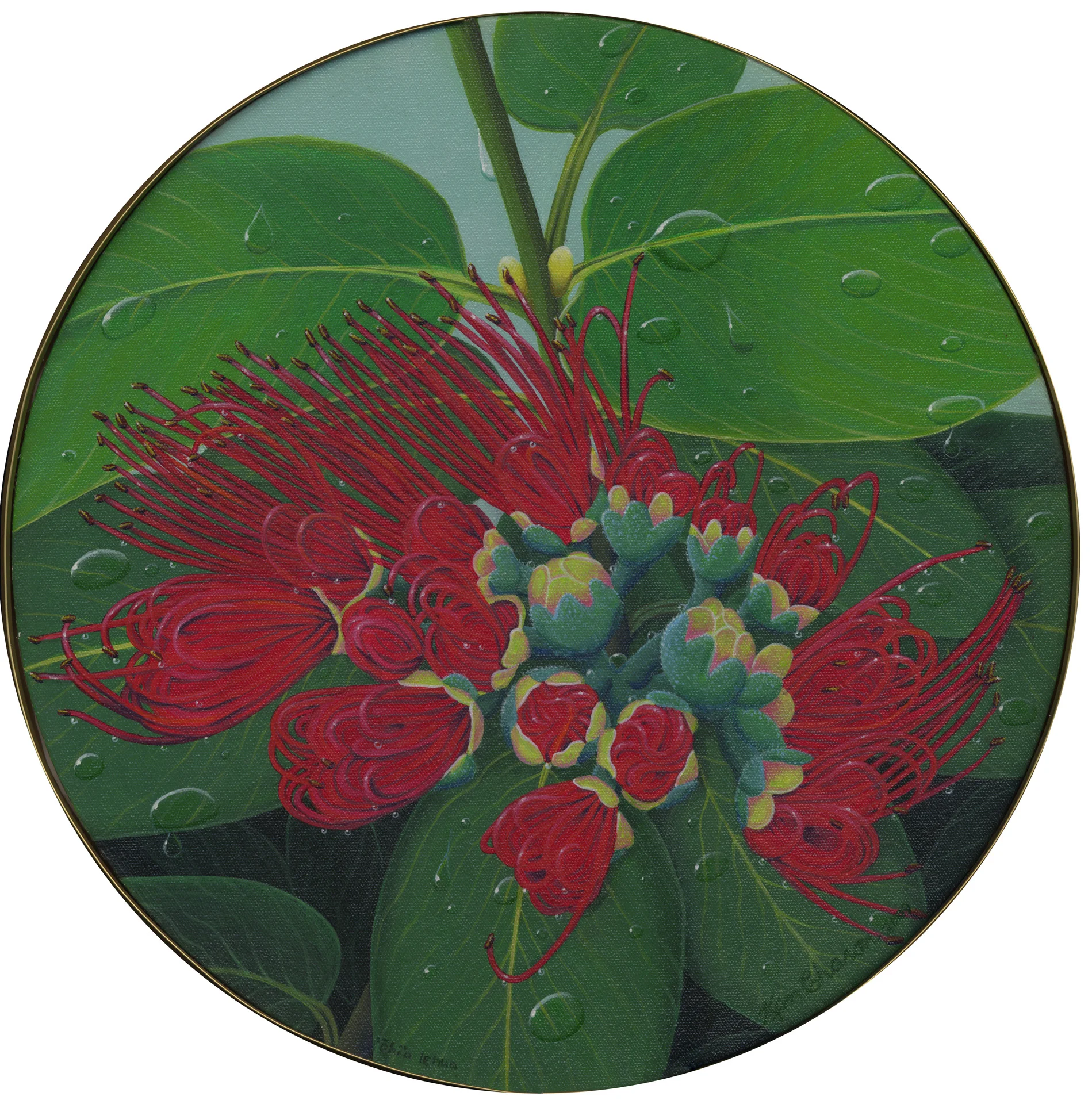 Ken Charon Painting 2009 A Closer Look, Ohia Lehua copy.jpg