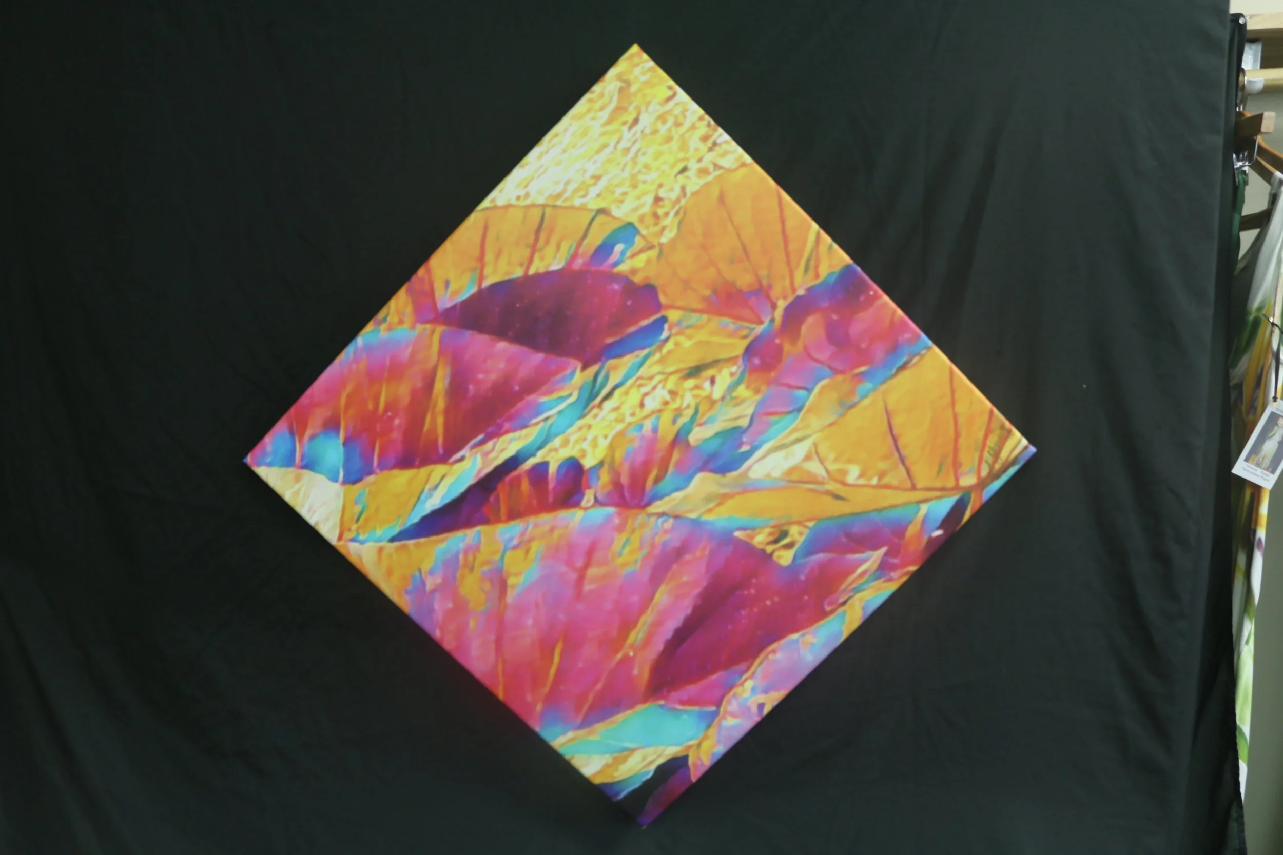 JY Rainbow Taro Leaves .JPG