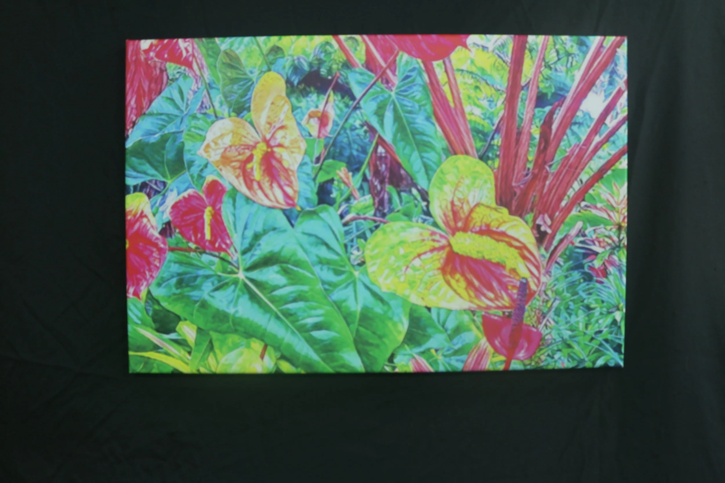 Anthuriums in Pink and Turquoise