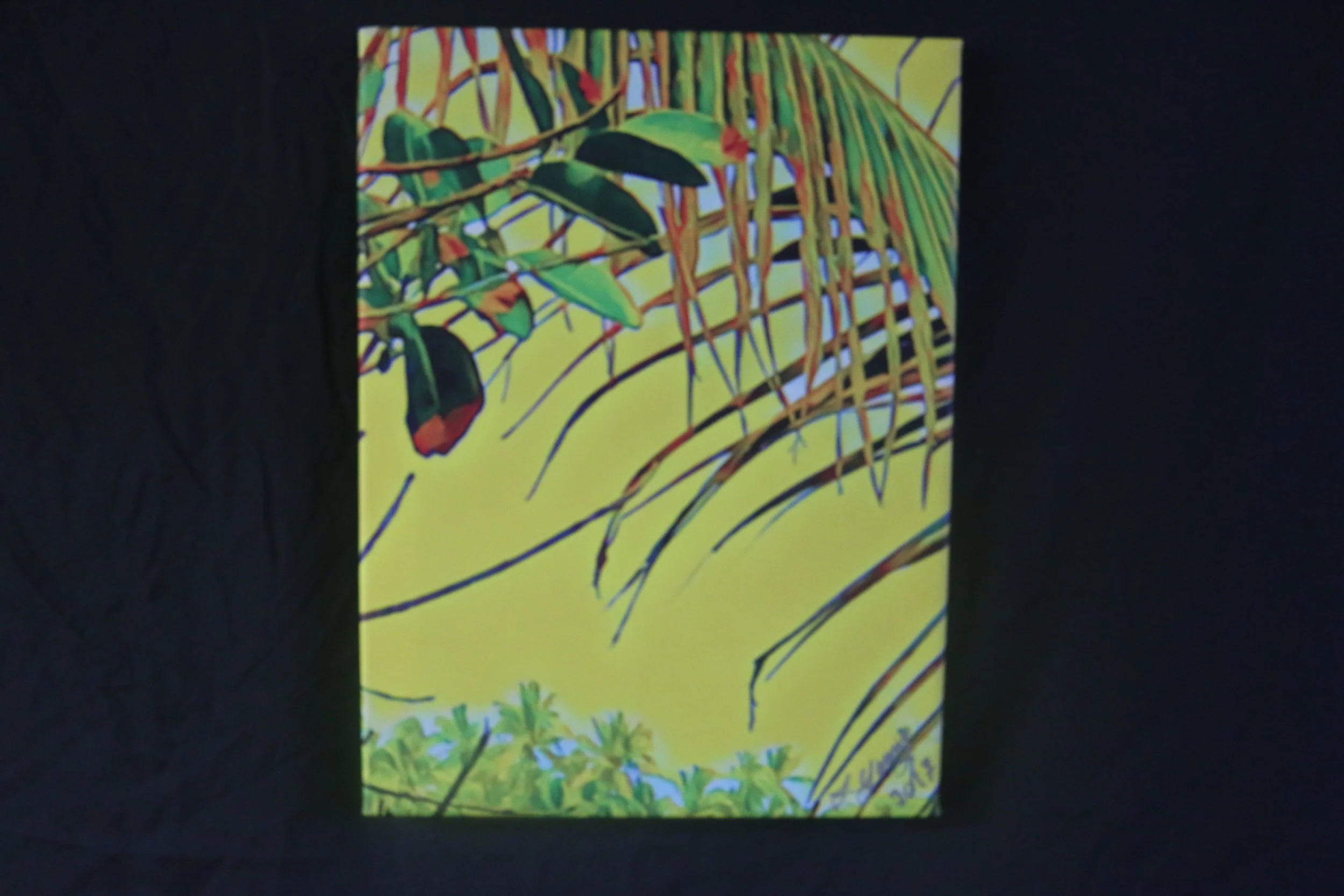 Yellow Palm Fronds at Ahalanui