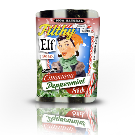 Cinnamon Peppermint Stick Soap
