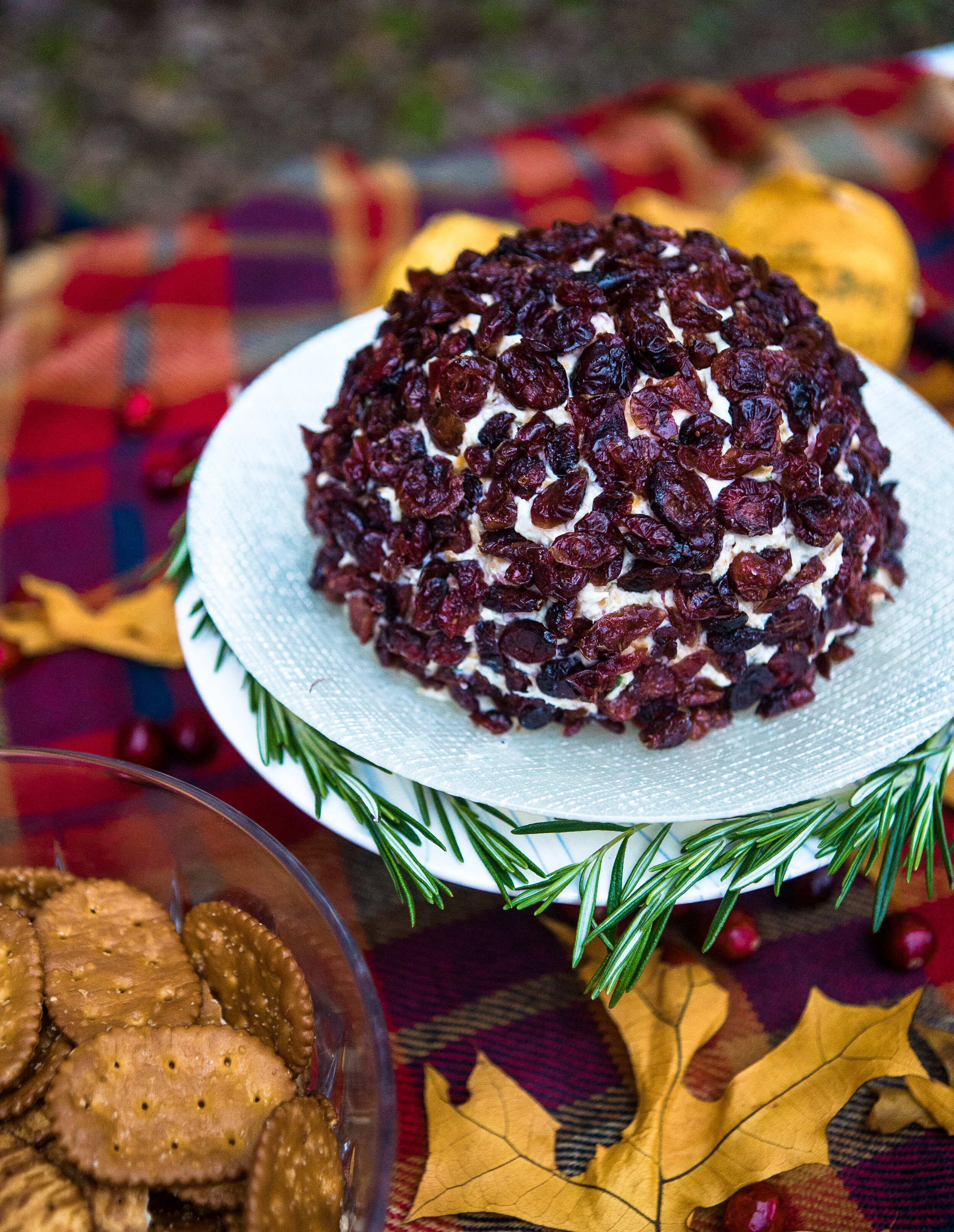 Cranberry Cheese Ball