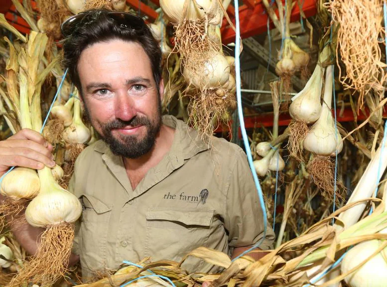 Why Byron Bay’s Russian garlic crop is a boom crop for these farmers