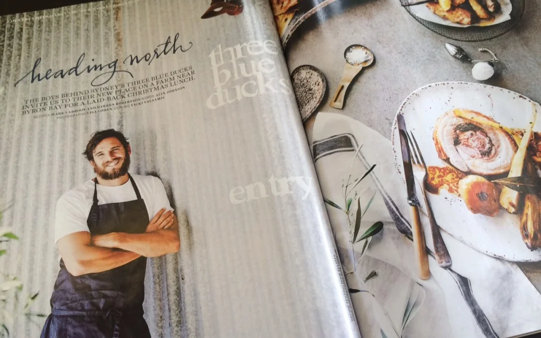 Heading north - Three Blue Ducks