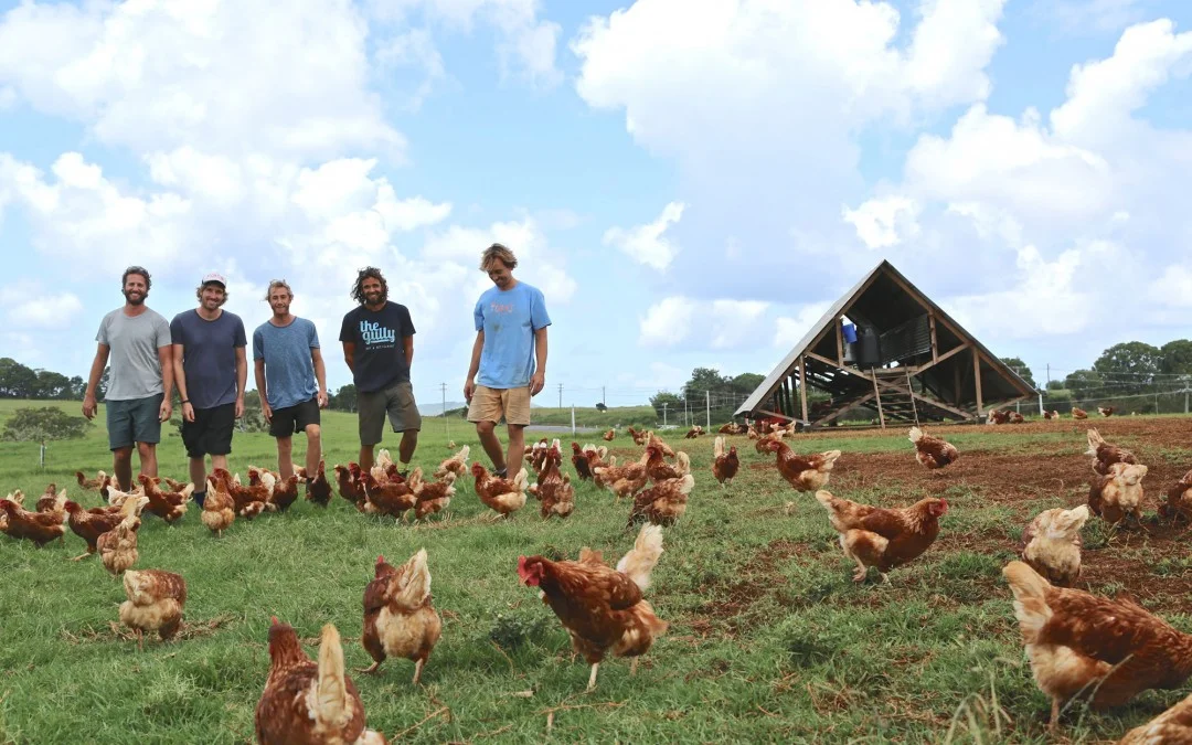 The Farm Byron Bay: Three Blue Ducks