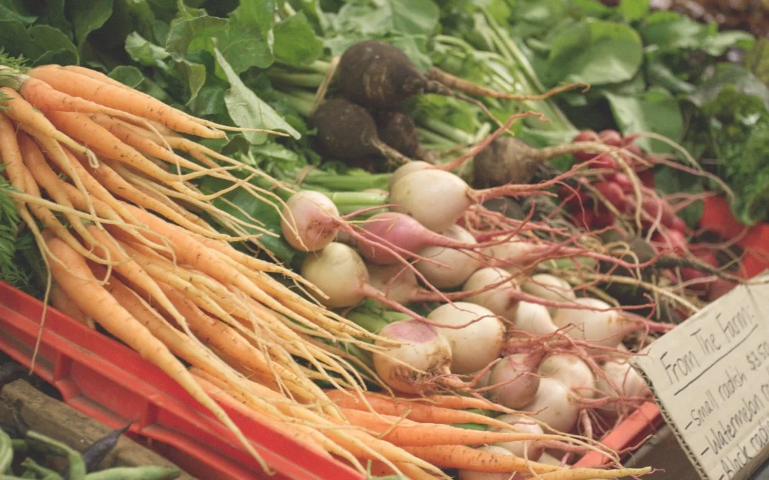 Healthy food ideas for family holidays