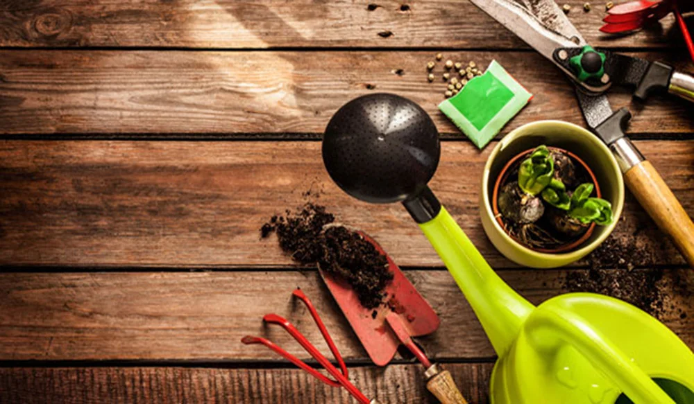 Farming got oh-so-fashionable