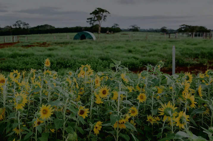 TheFarm_PlanningContext_WebImages-01.jpg