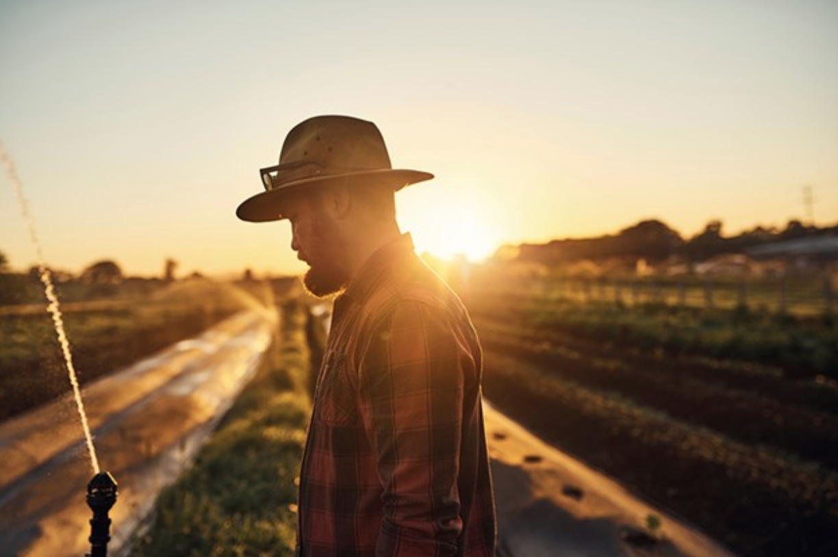 Safety First: Case Study