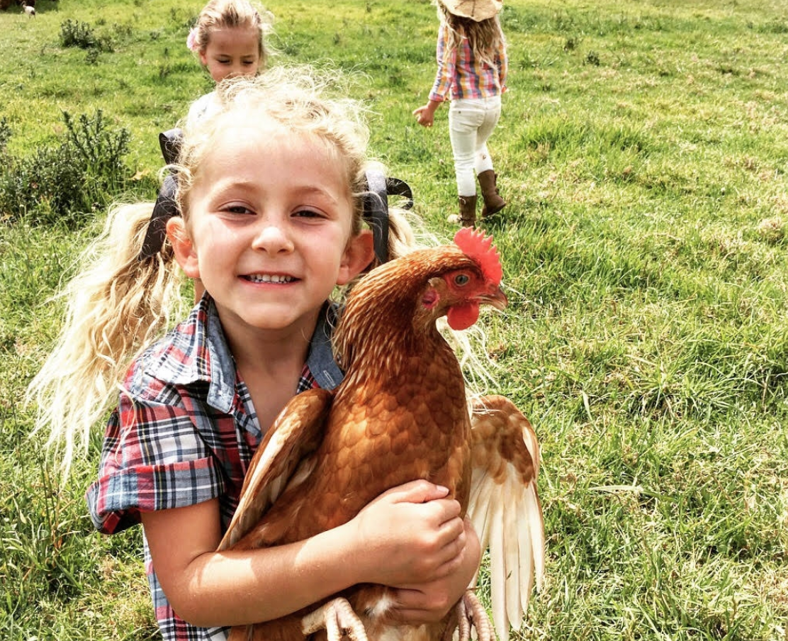 Farm Kids Chickens Workshop