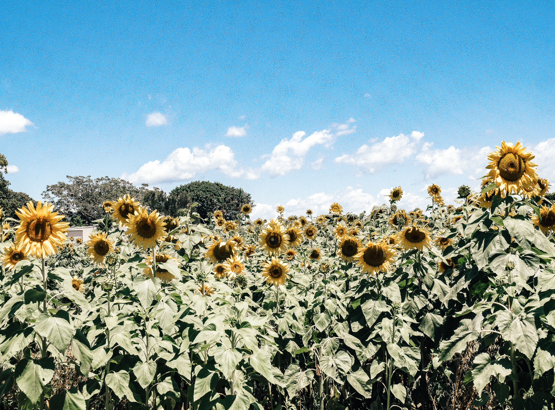 Things to do in Byron Bay