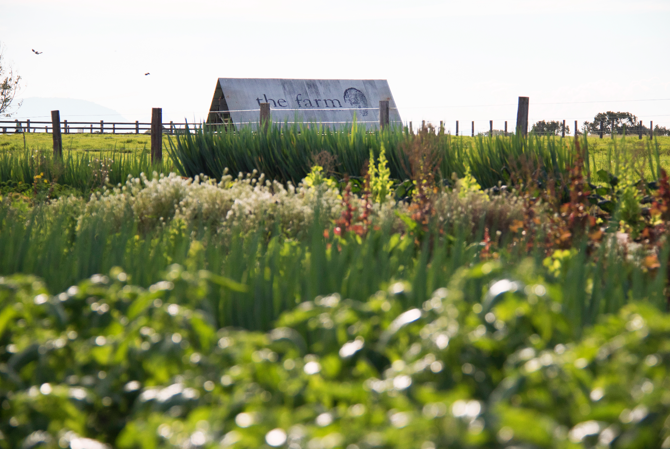 It's Our 4th Birthday!