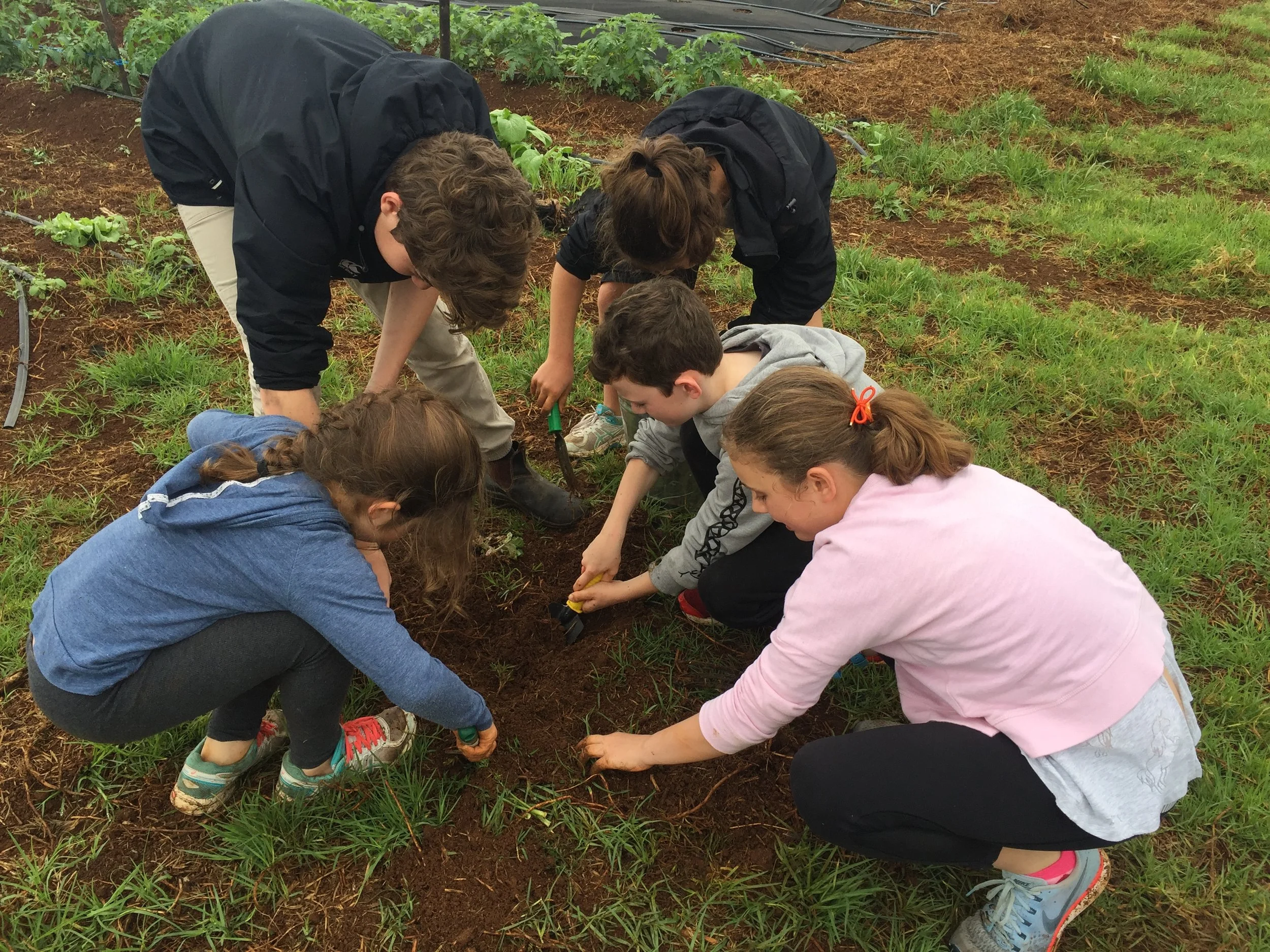 FARM KIDS MINI FARMERS PROGRAM – COMPANION PLANTING