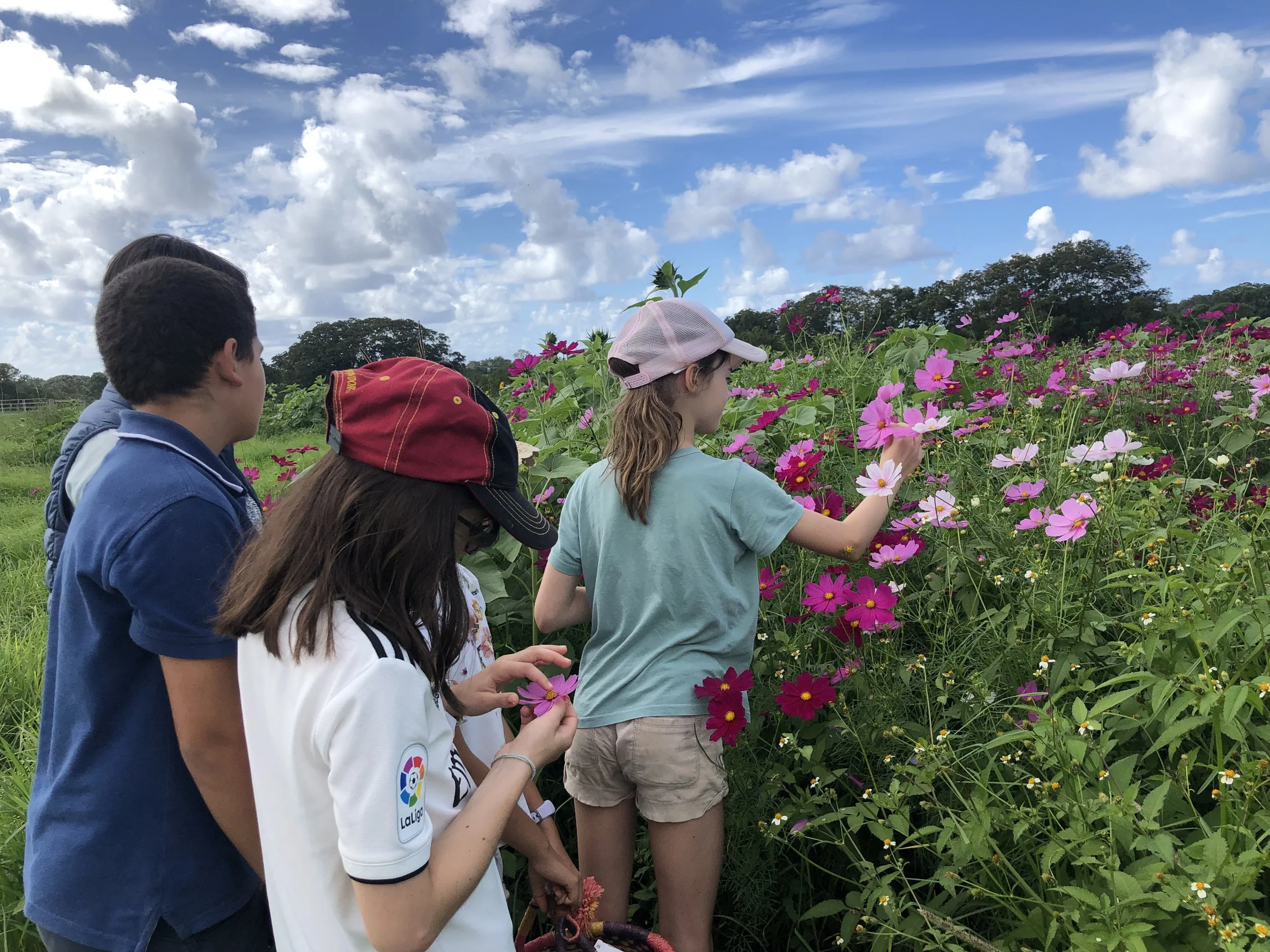 Farm Kids Beneficial Bugs Workshop