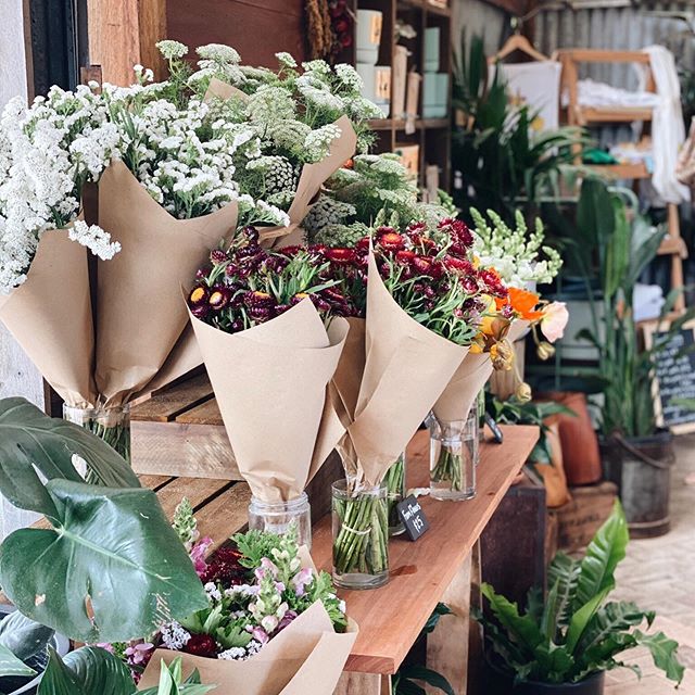 Each day we have a seasonal selection of our farm grown blooms bunches up and ready to go. Make sure you come in early as they often sell out over the weekend.