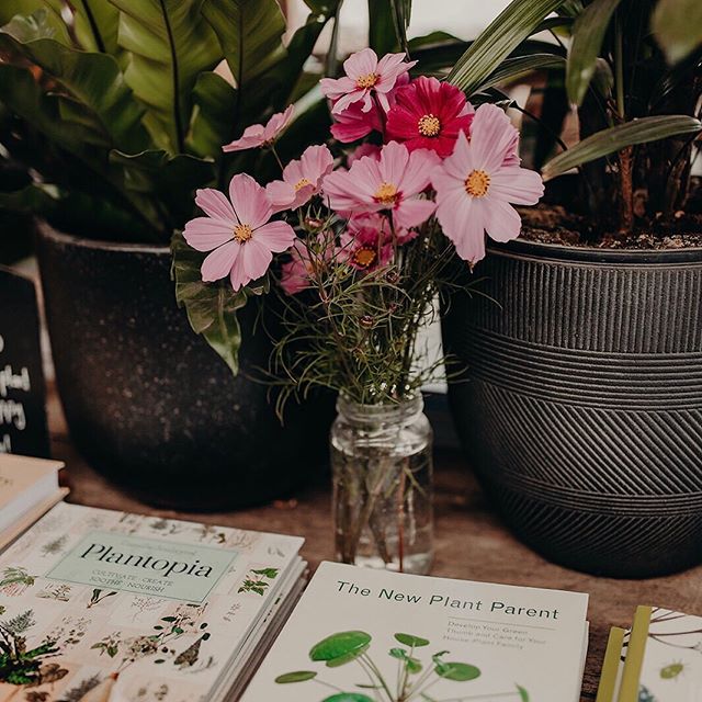 Little details around the shed, open every day 8-4 at @thefarmatbyronbay