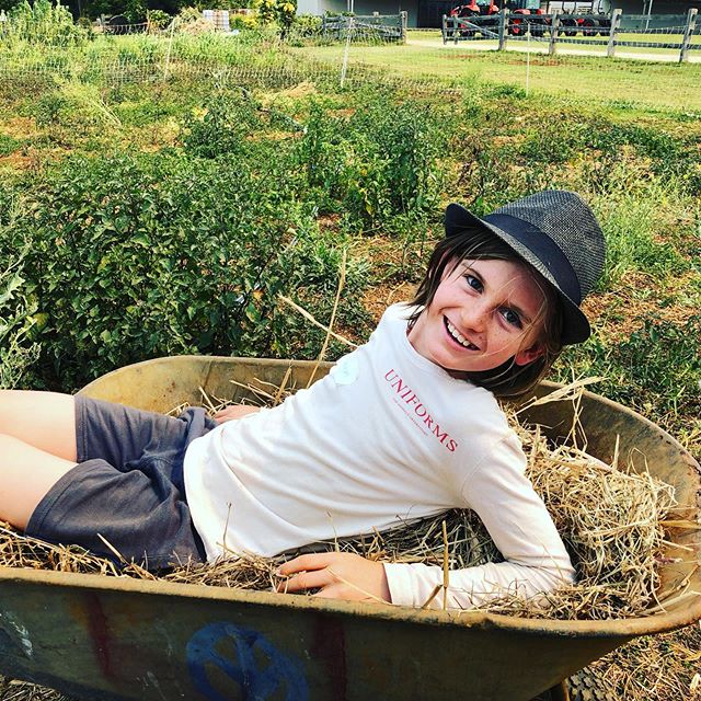 Just taking a load off mid Mini Farmers chores! 👨&zwj;🌾 🐓
.
.

#farmkids #fun #birthdayparties #naturalkids #kids #farmchores #farmanimals #summer #byronbay #pigs #cows #flowers #beneficialbugs #veggies #chickens #herbs #bees #nature #organic #sus