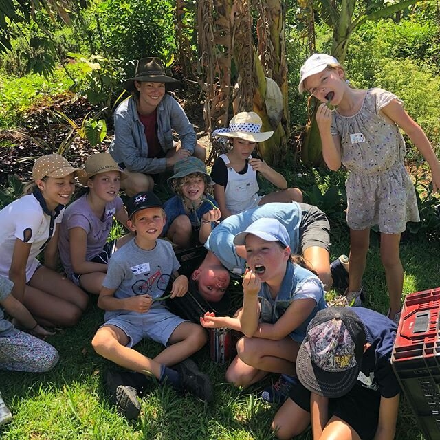 Mini Farmers hard at work helping gorgeous Venetia @good_natured_gardening harvest these delicious and wholesome beans for the @threeblueducks restaurant. There are still places available for tomorrow&rsquo;s Mini Farmers so come join us for some goo