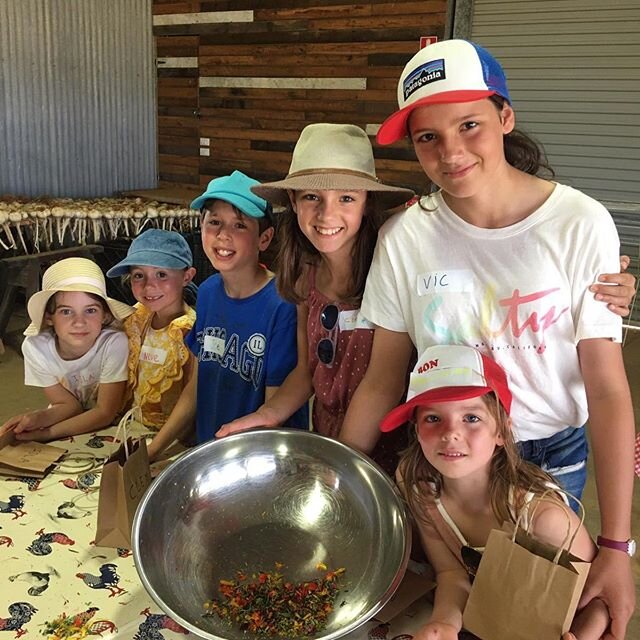 Well our new workshop &lsquo;DIY Natural Products&rsquo; was a huge hit!  23 happy creating kids making bath bombs, lip balm and handmade soups with flowers and herbs picked from the market gardens @thefarmatbyronbay. 🌺 🌸
.
. #farmkids #fun #cows #