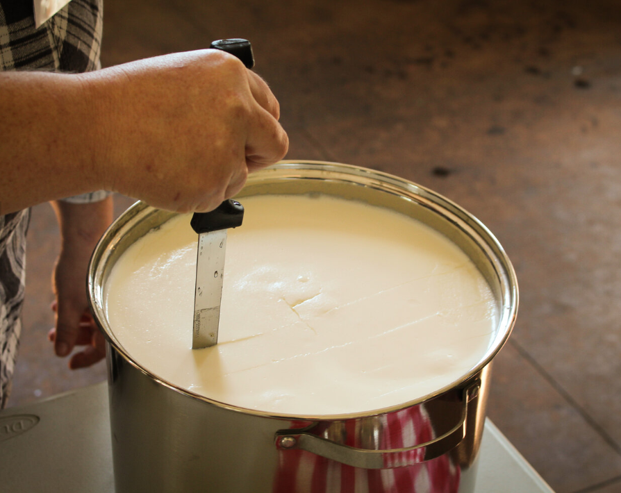 Hospitality/ Industry Exclusive Cheese Making Workshop - Feb 24